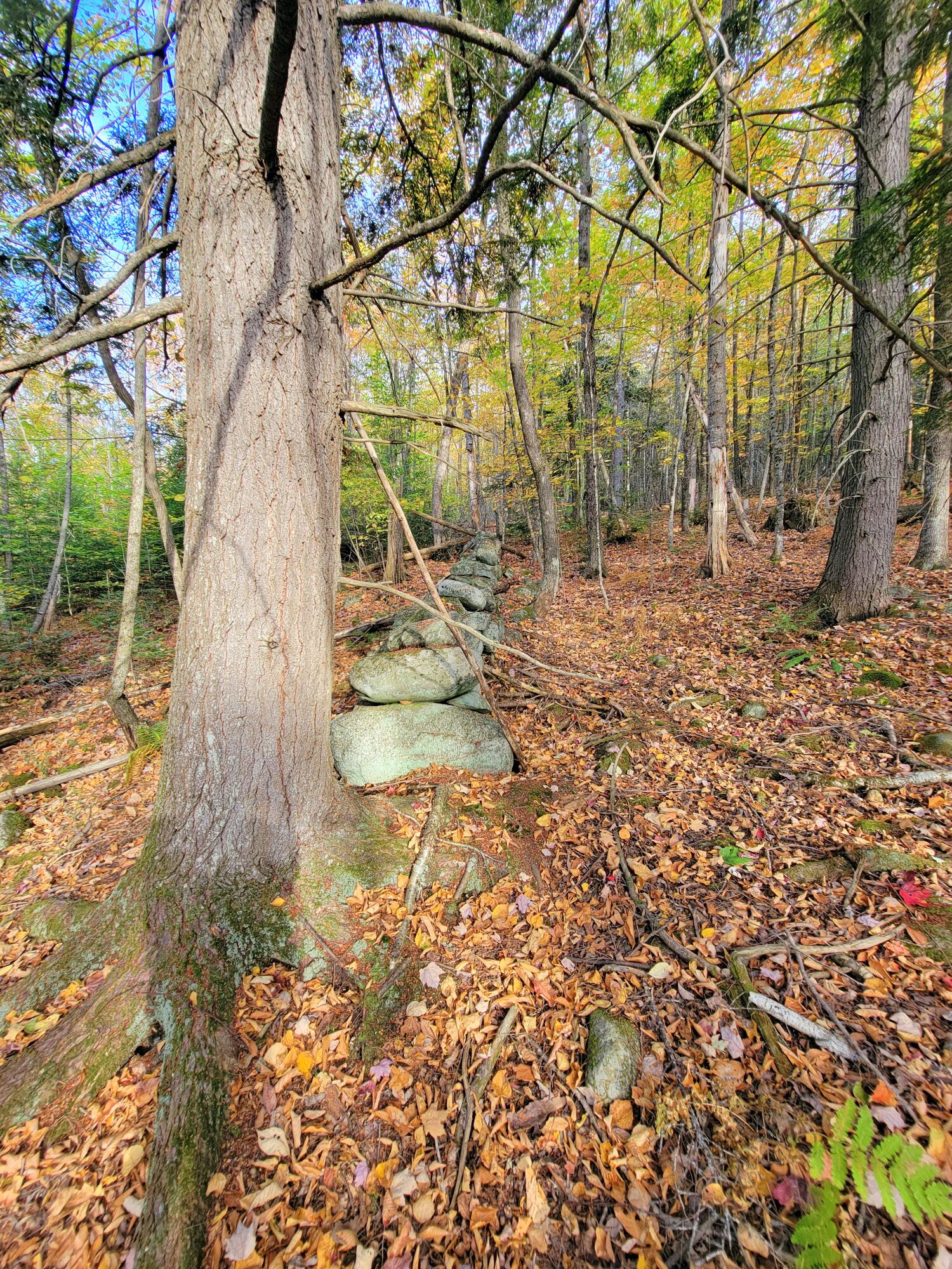 449 Holley Road Farmington ME 04938