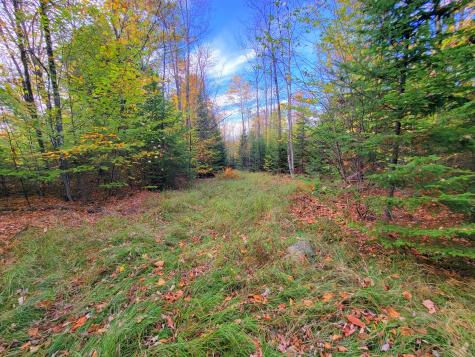 449 Holley Road Farmington ME 04938