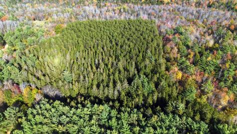 449 Holley Road Farmington ME 04938