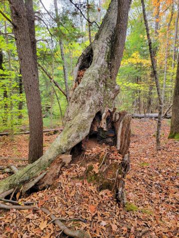 449 Holley Road Farmington ME 04938