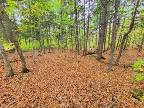 449 Holley Road Farmington ME 04938