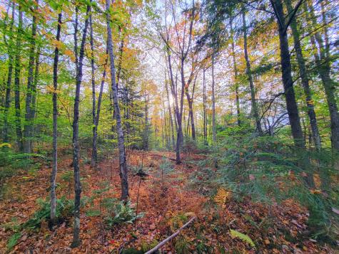 449 Holley Road Farmington ME 04938