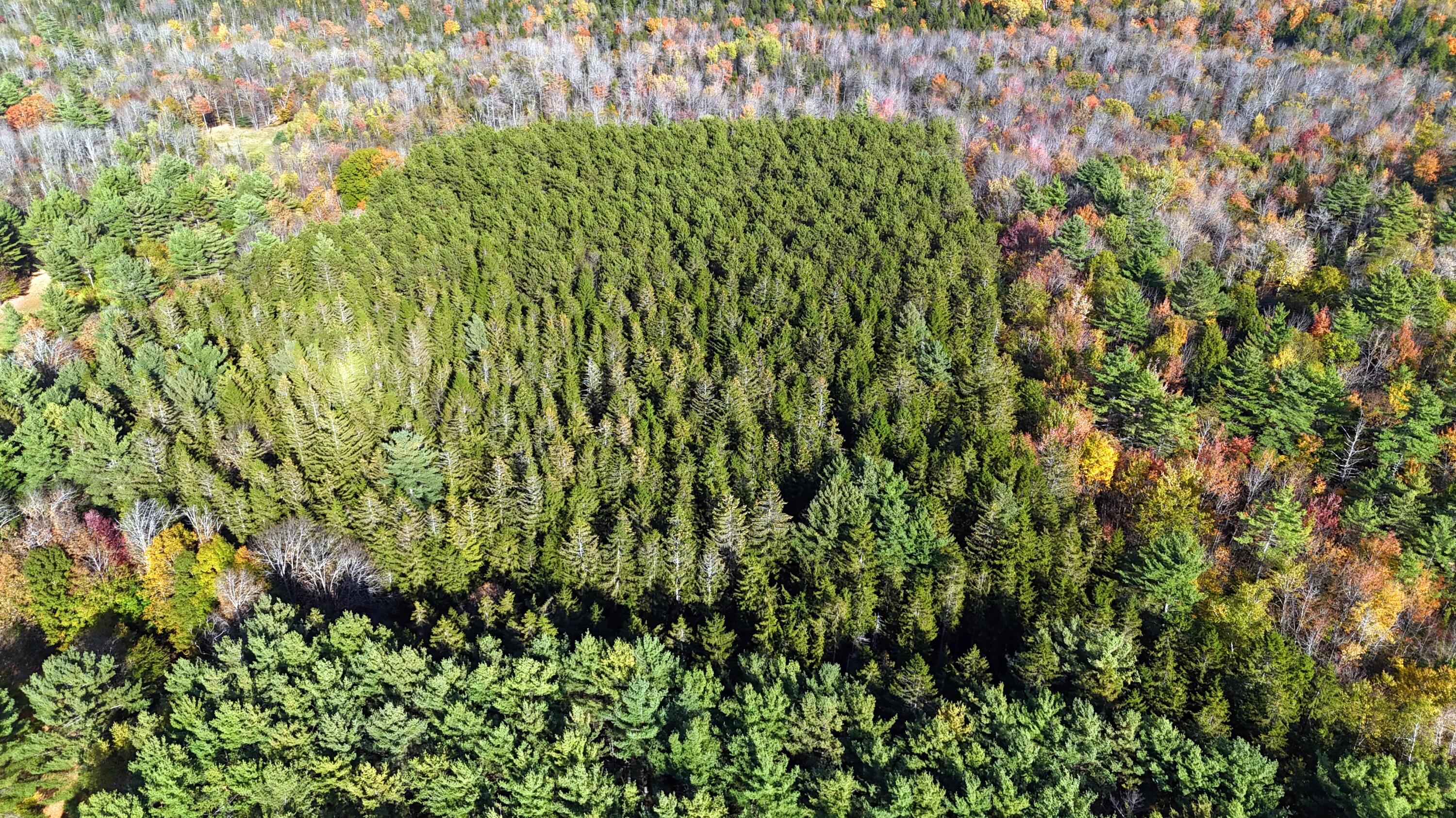 449 Holley Road Farmington ME 04938