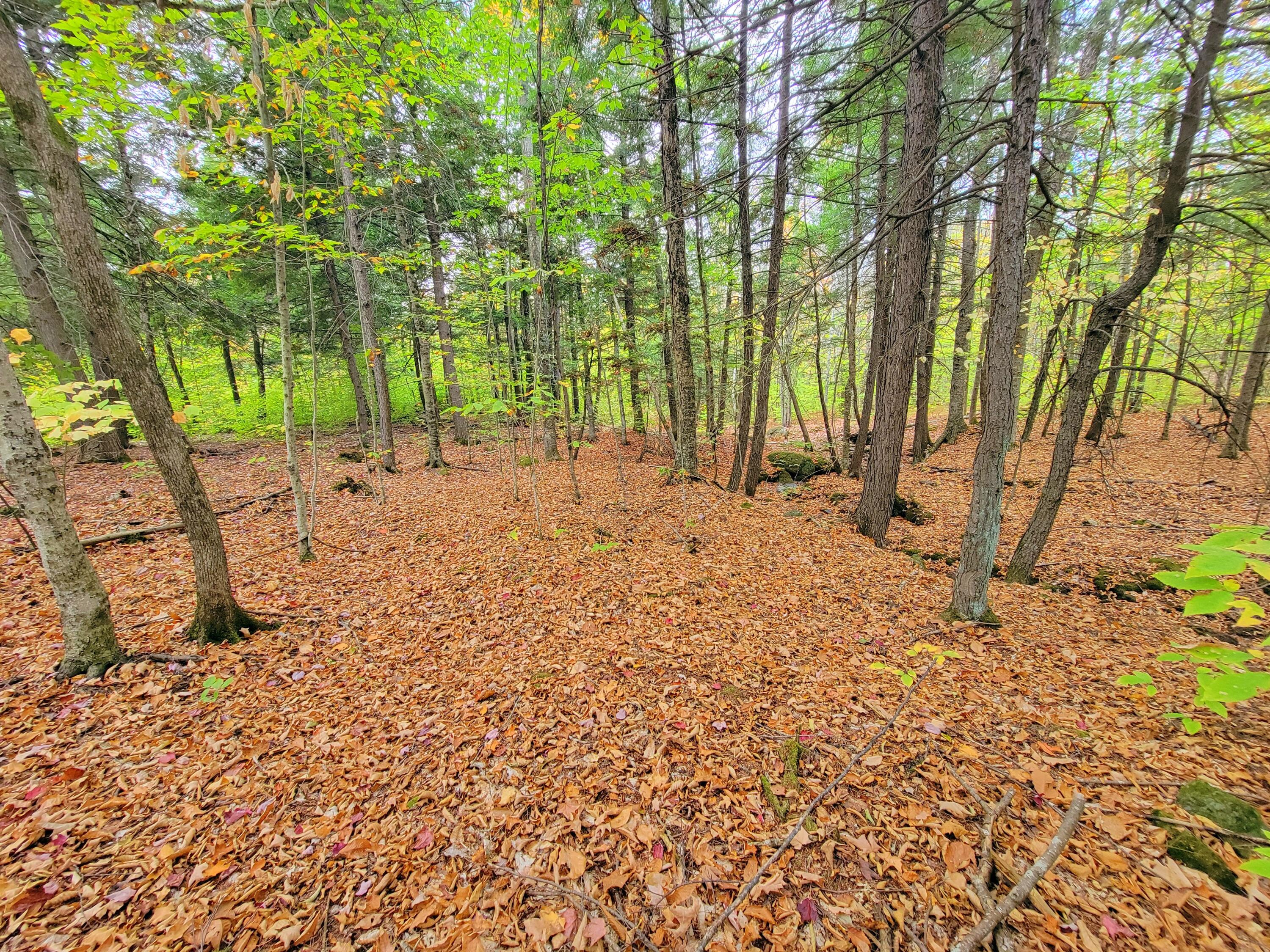 449 Holley Road Farmington ME 04938