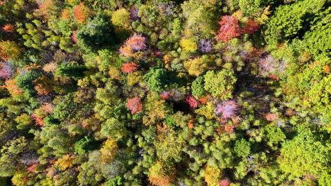 449 Holley Road Farmington ME 04938