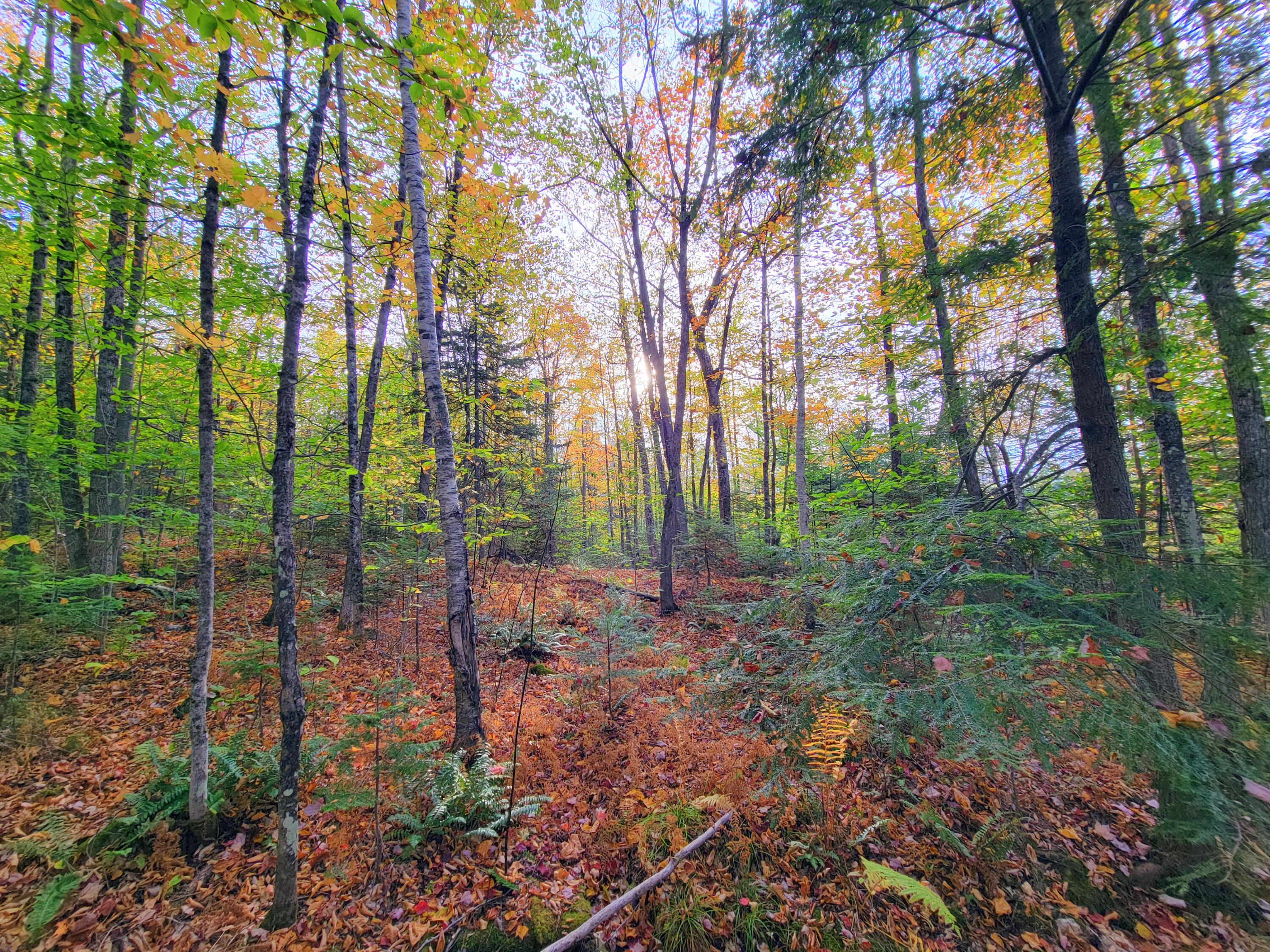 449 Holley Road Farmington ME 04938