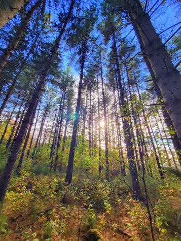 449 Holley Road Farmington ME 04938