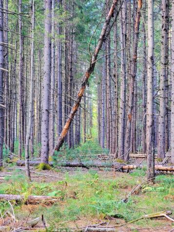 449 Holley Road Farmington ME 04938