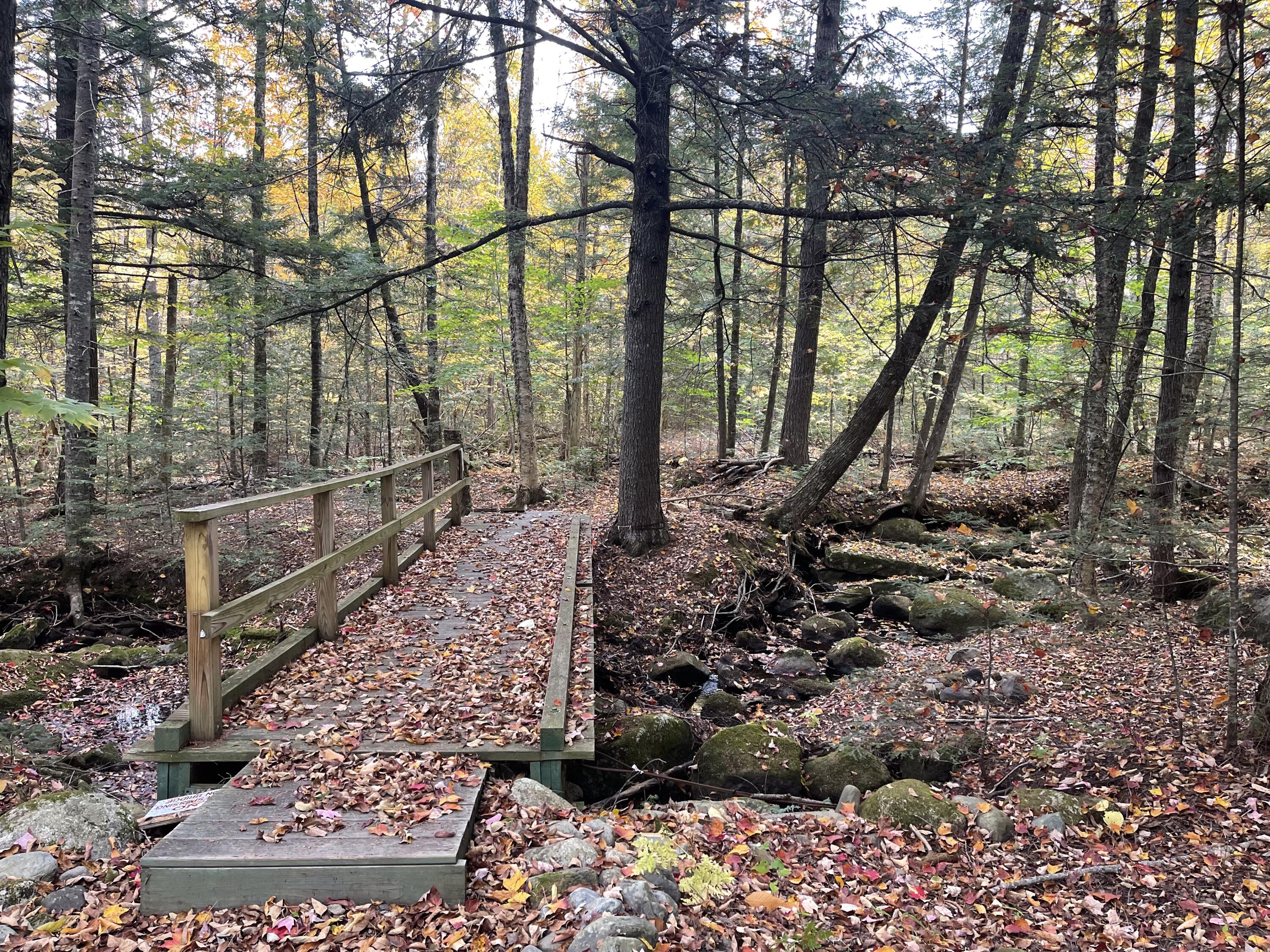 859 Greeleys Landing Road Dover-foxcroft ME 04426