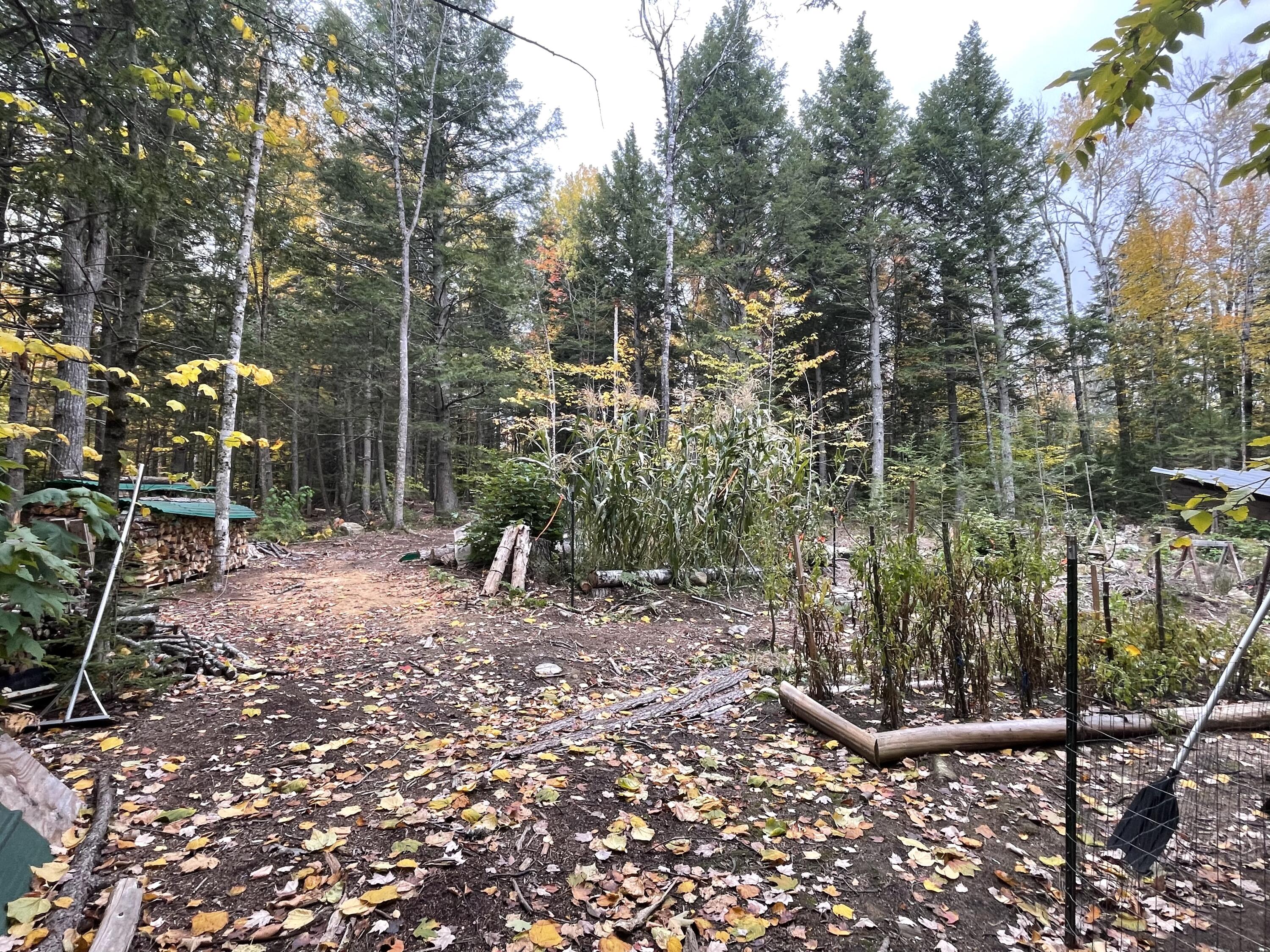 859 Greeleys Landing Road Dover-foxcroft ME 04426