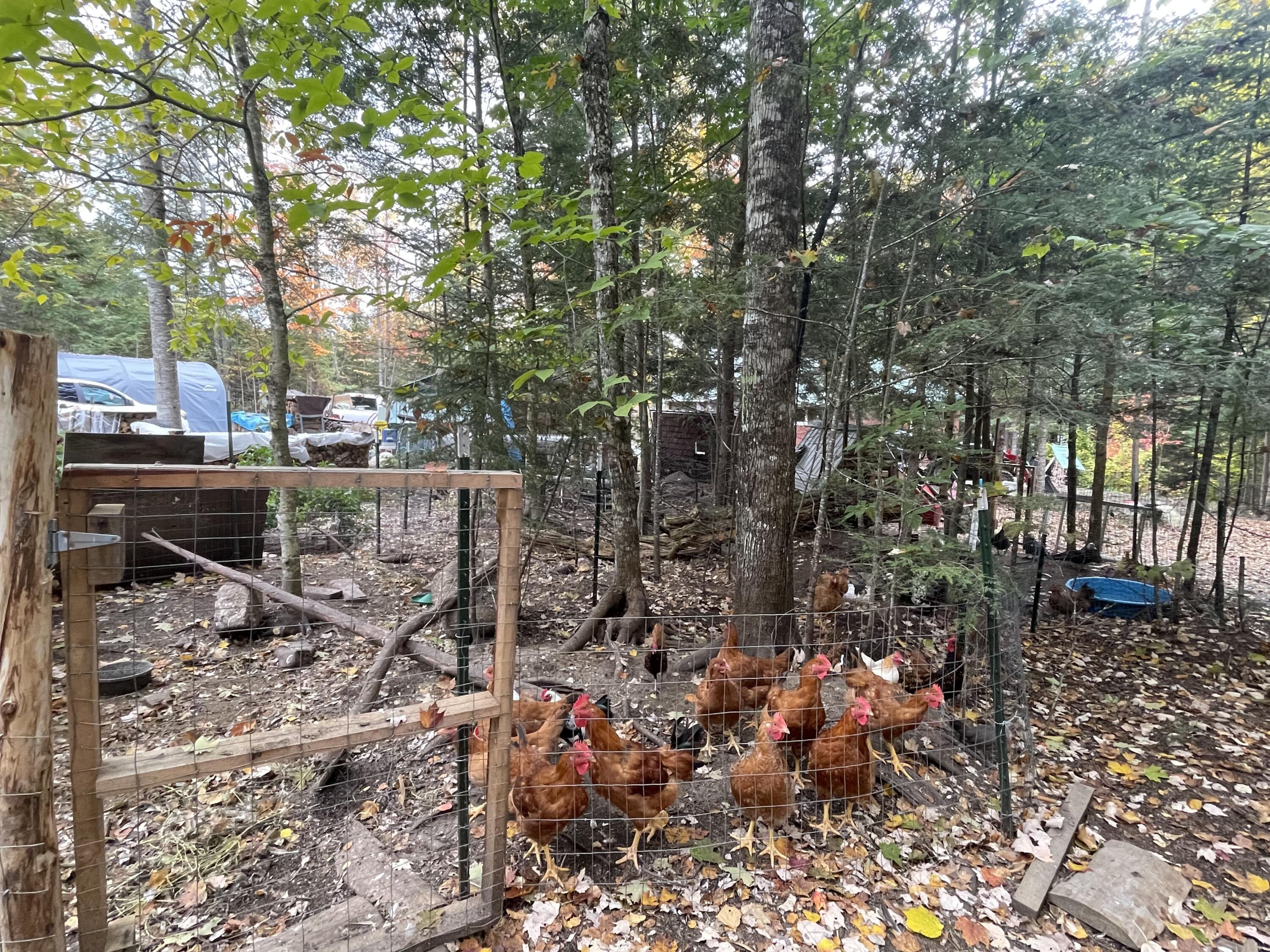 859 Greeleys Landing Road Dover-foxcroft ME 04426