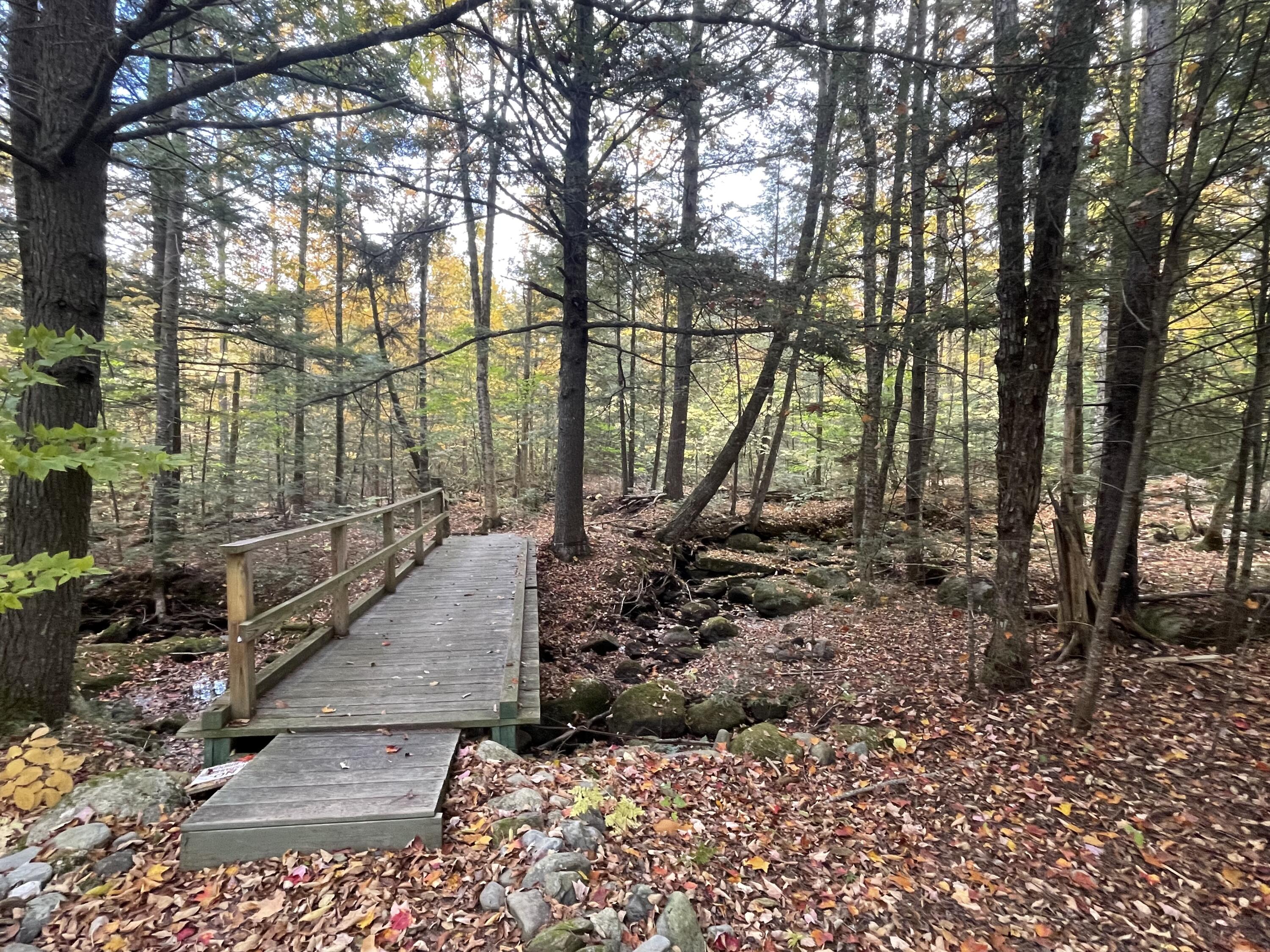 859 Greeleys Landing Road Dover-foxcroft ME 04426