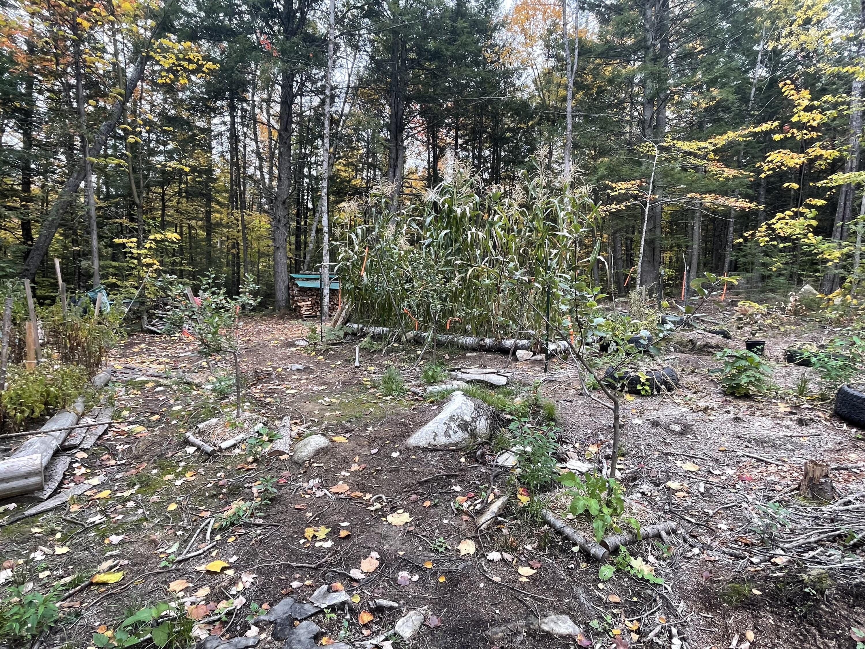 859 Greeleys Landing Road Dover-foxcroft ME 04426