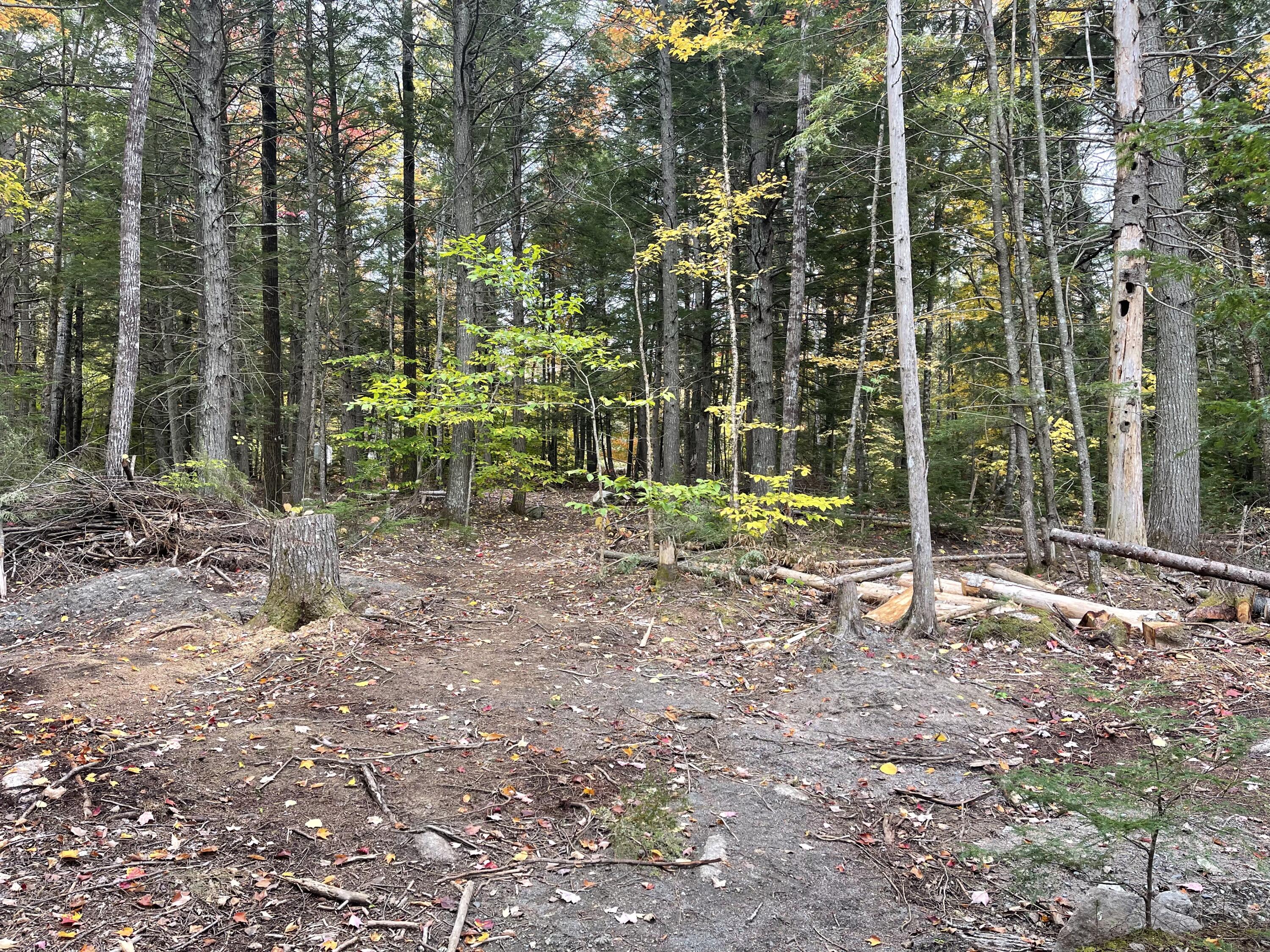859 Greeleys Landing Road Dover-foxcroft ME 04426