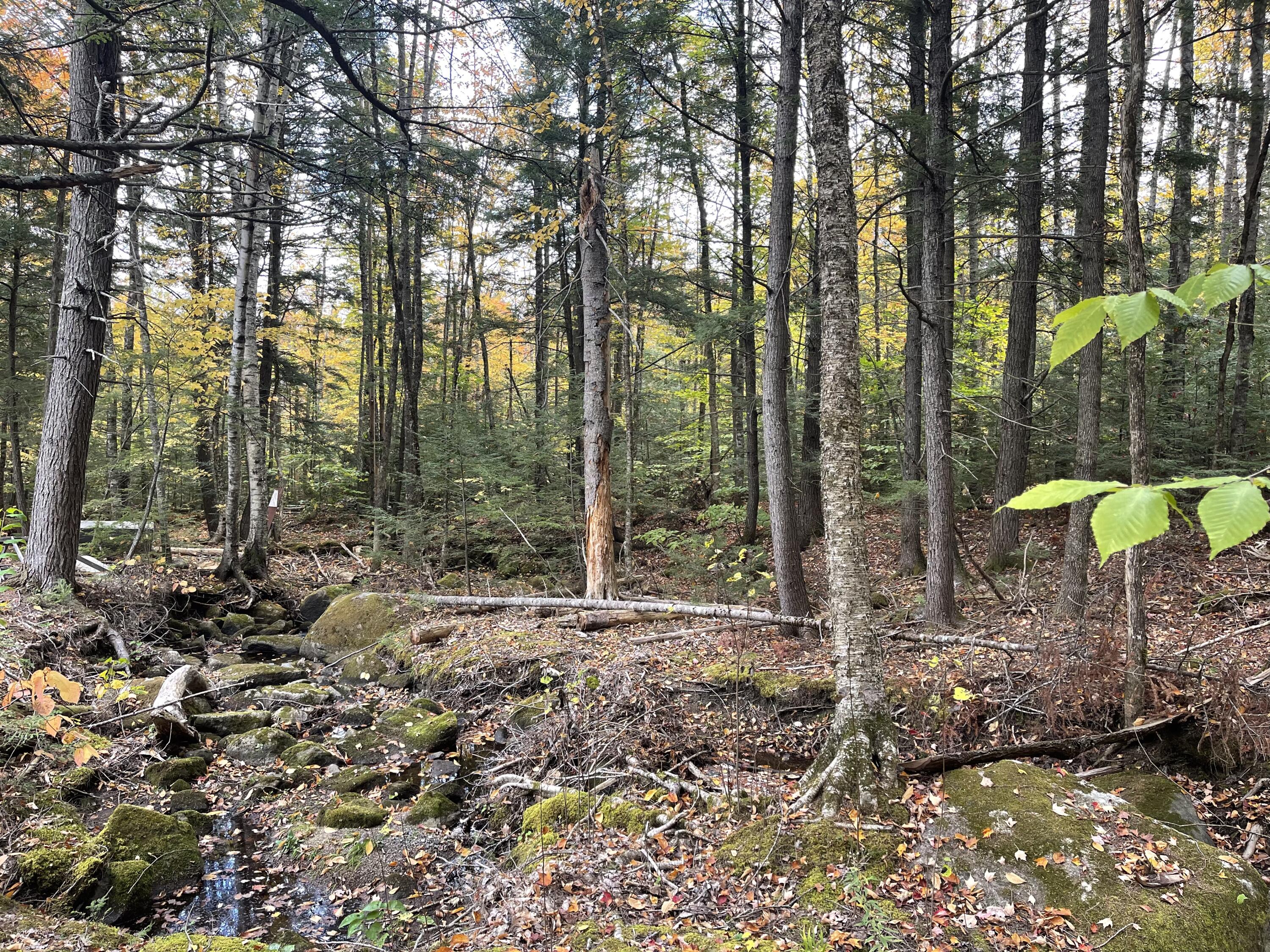 859 Greeleys Landing Road Dover-foxcroft ME 04426