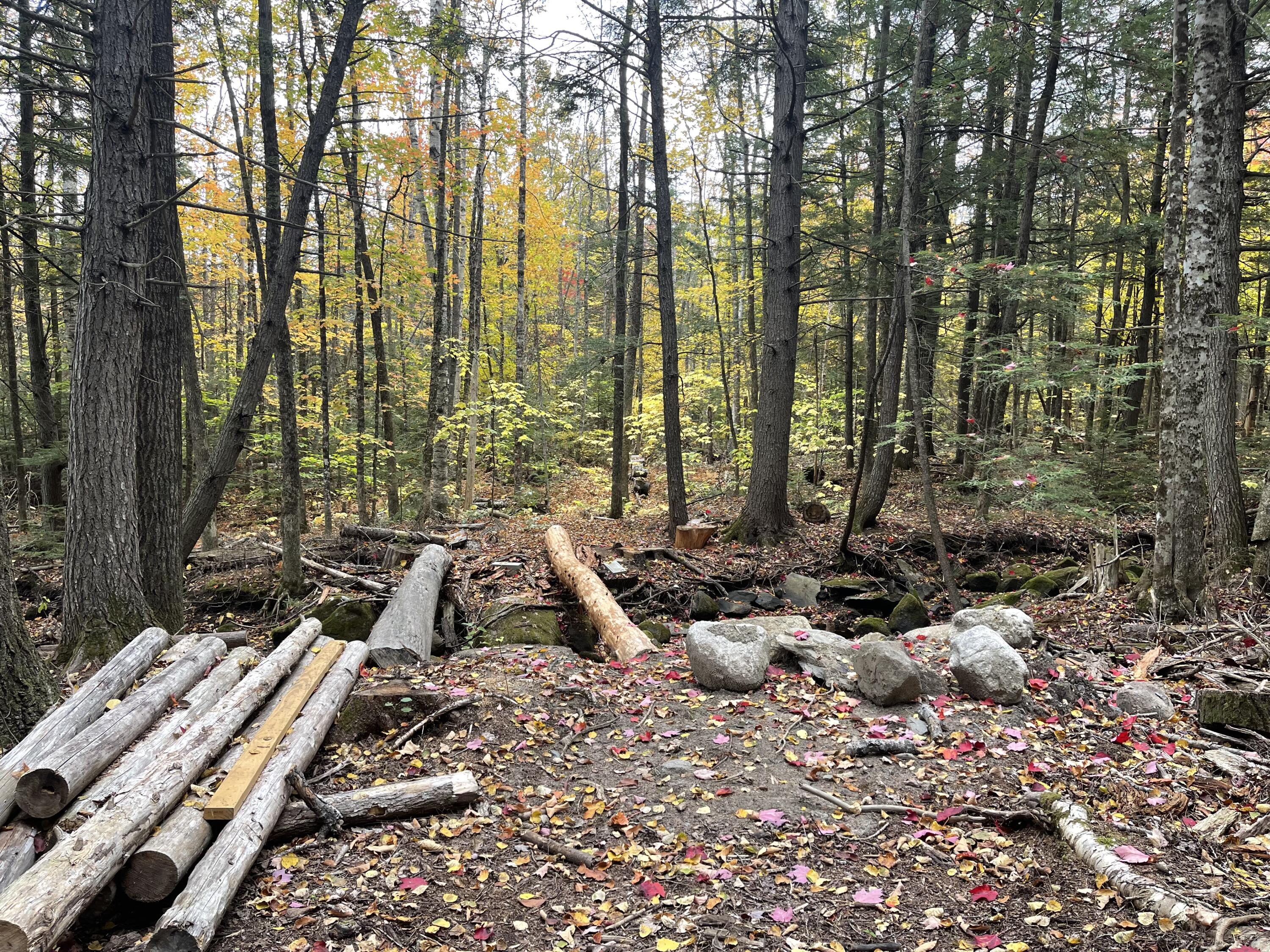 859 Greeleys Landing Road Dover-foxcroft ME 04426