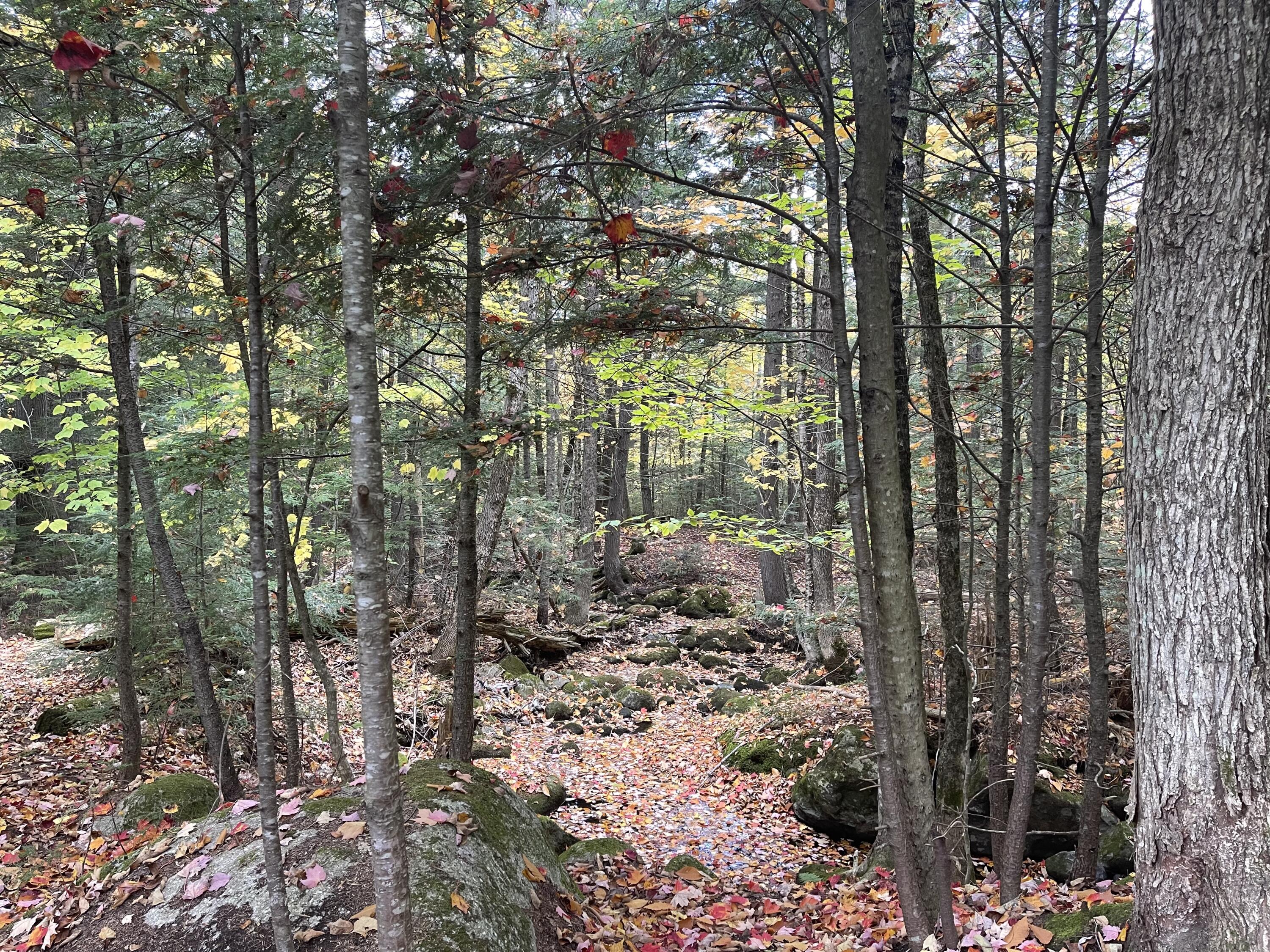 859 Greeleys Landing Road Dover-foxcroft ME 04426