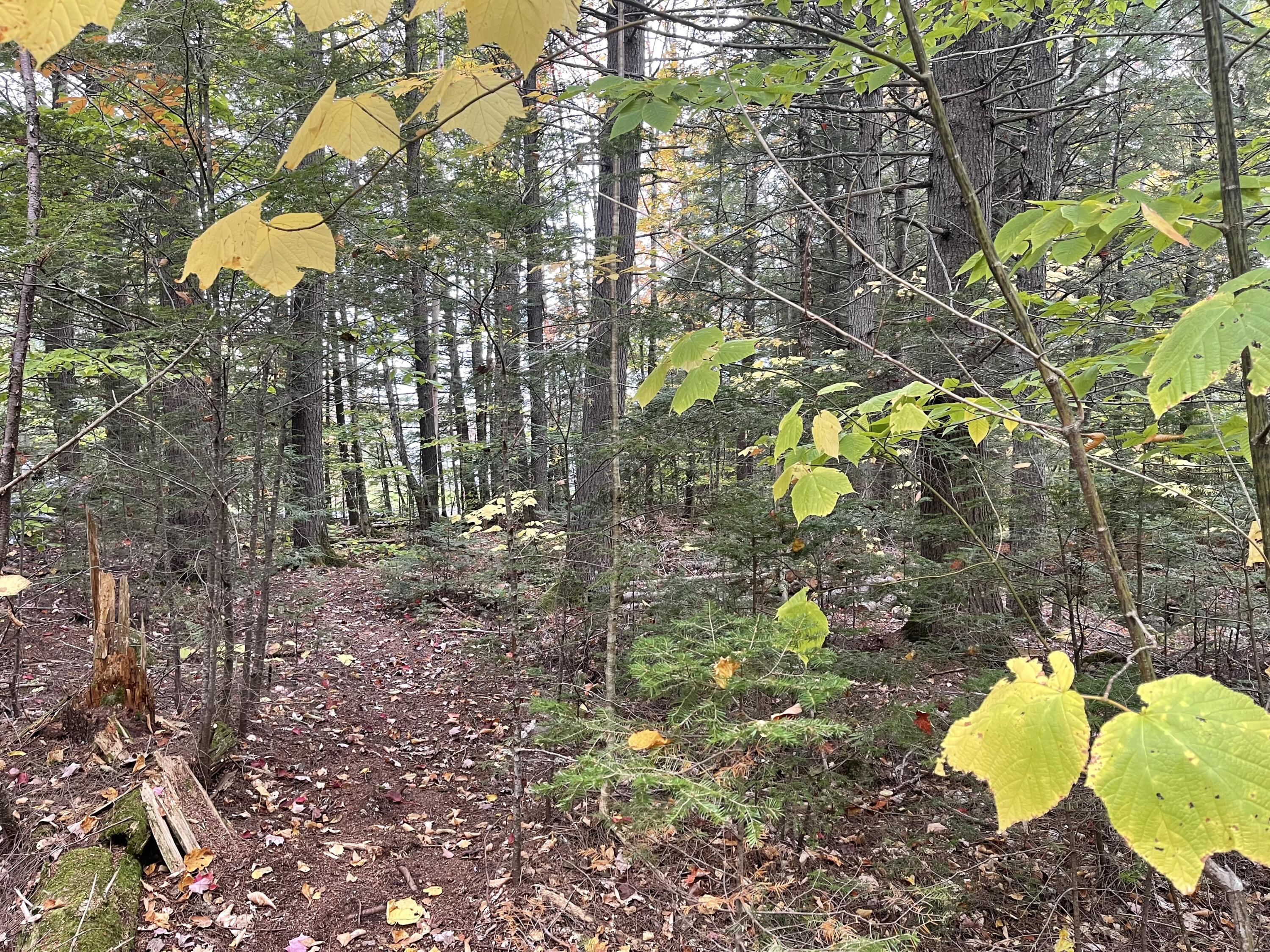 859 Greeleys Landing Road Dover-foxcroft ME 04426