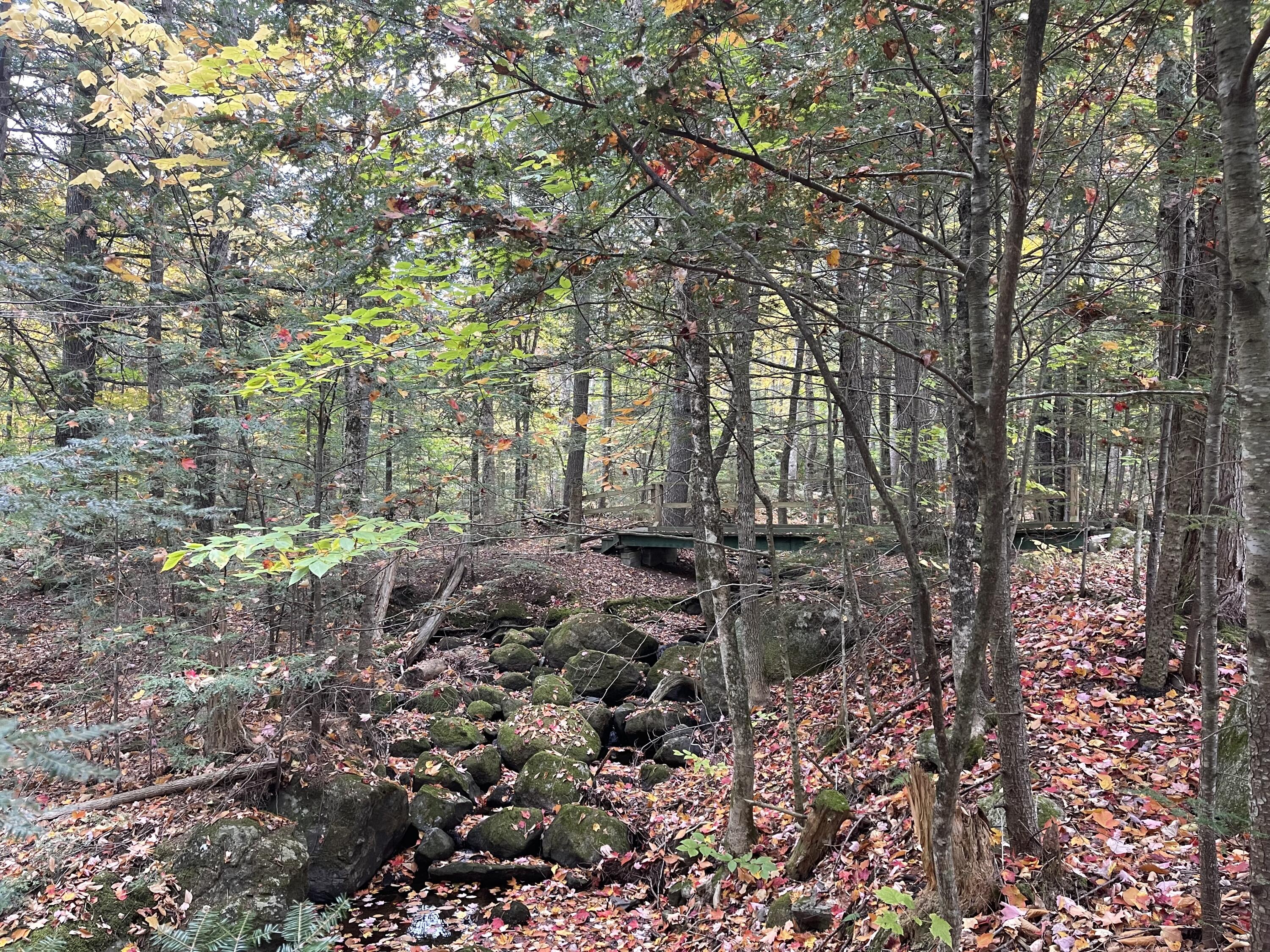 859 Greeleys Landing Road Dover-foxcroft ME 04426