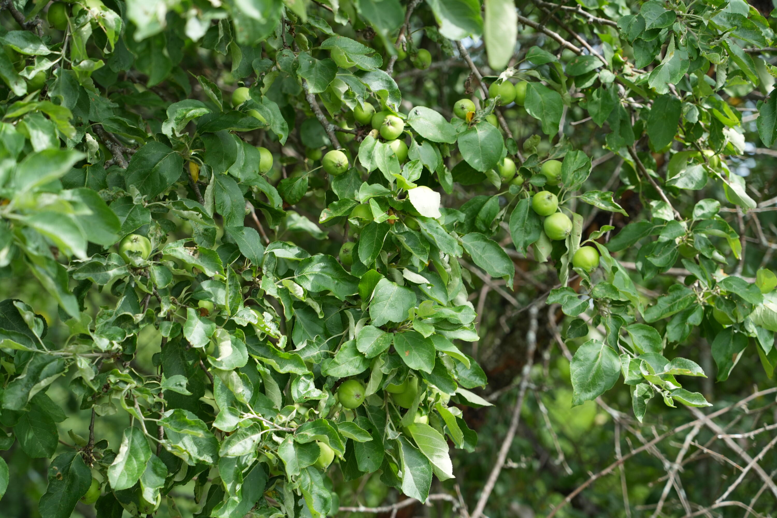 218 Montieth Road Bridgewater ME 04735