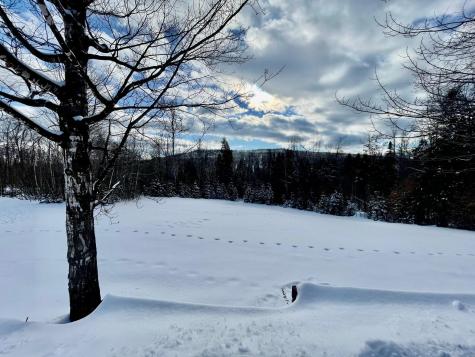 1 Tellis Road Freeman Twp ME 04947