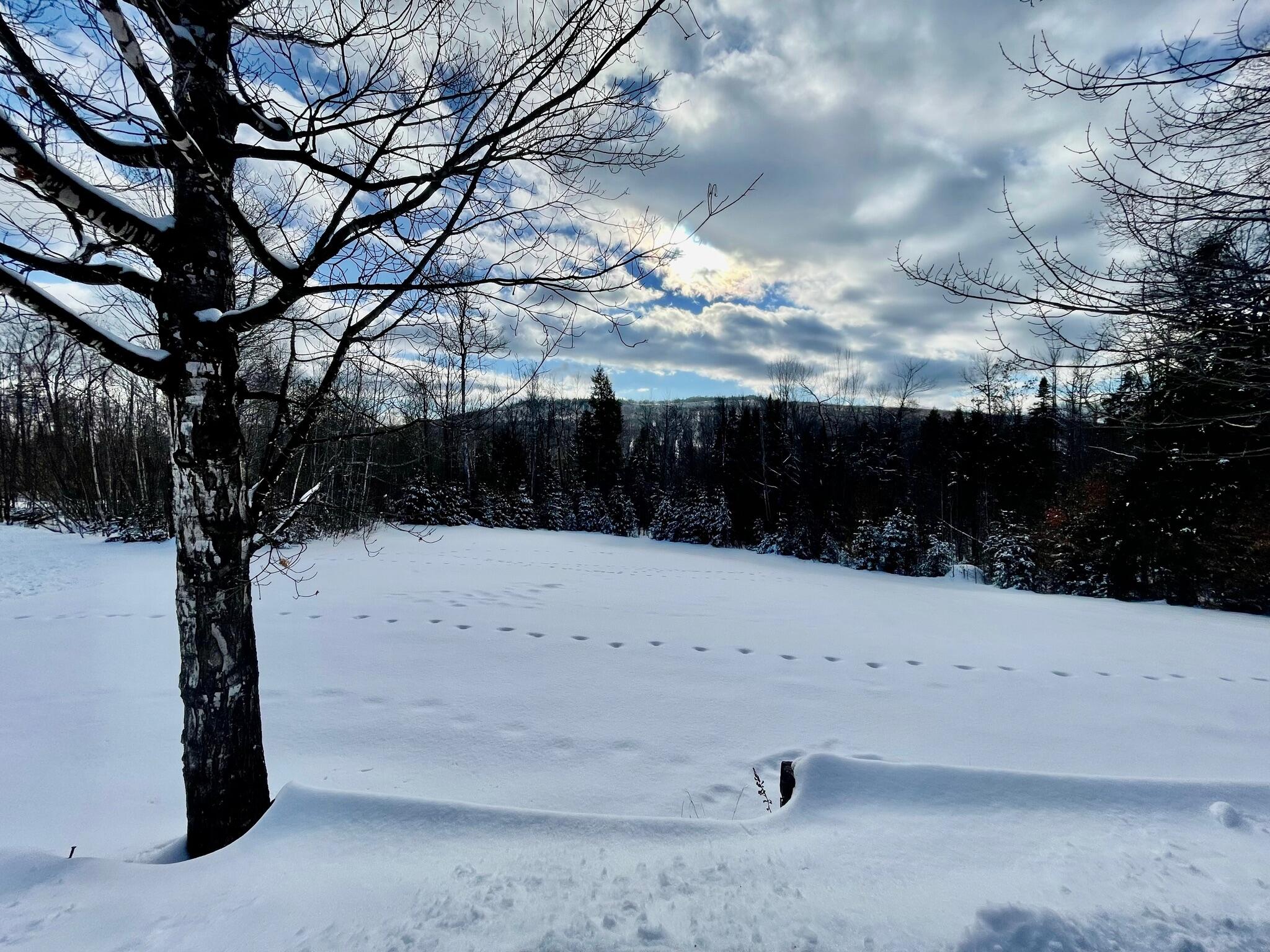 1 Tellis Road Freeman Twp ME 04947