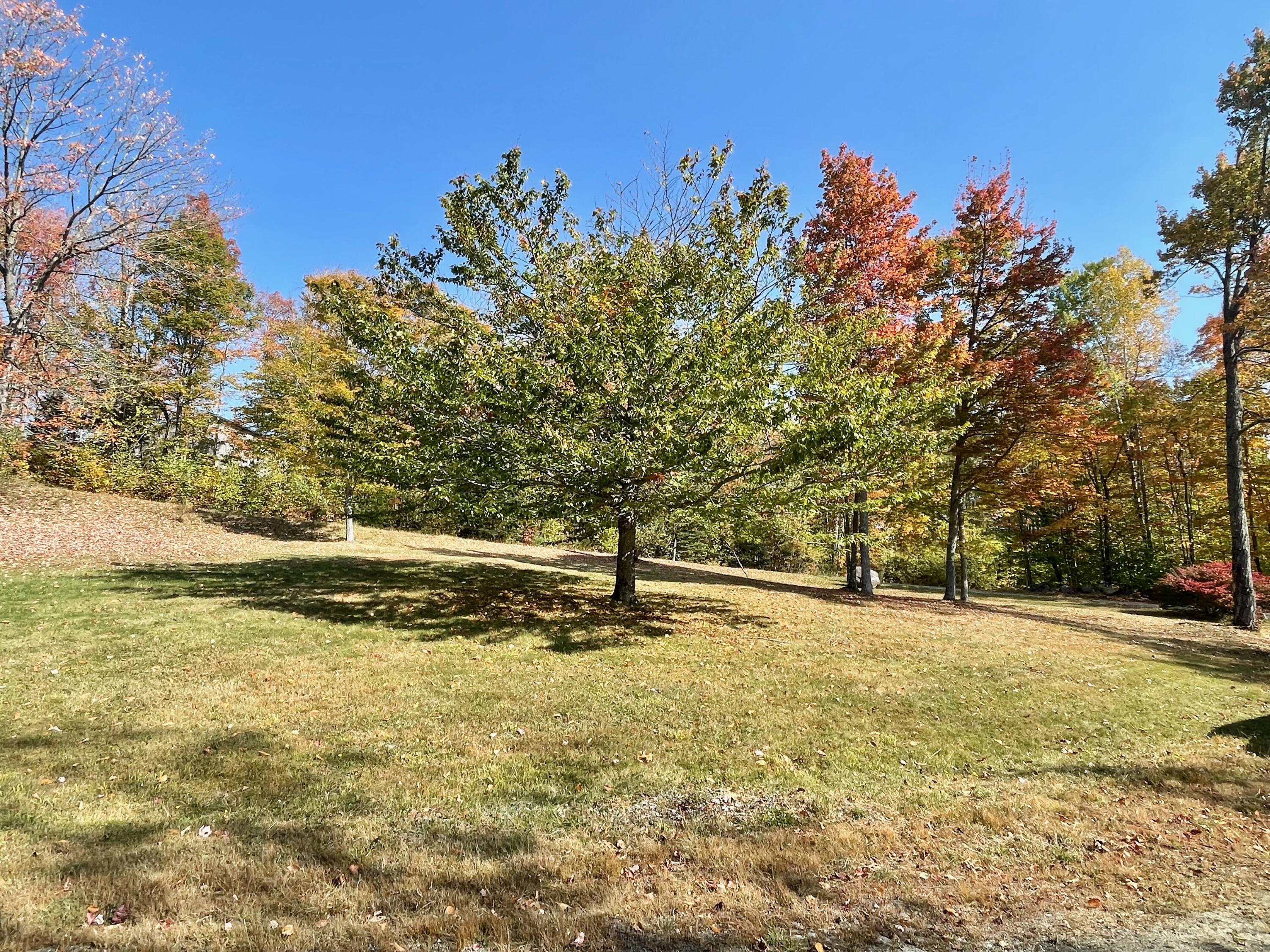 1 Tellis Road Freeman Twp ME 04947