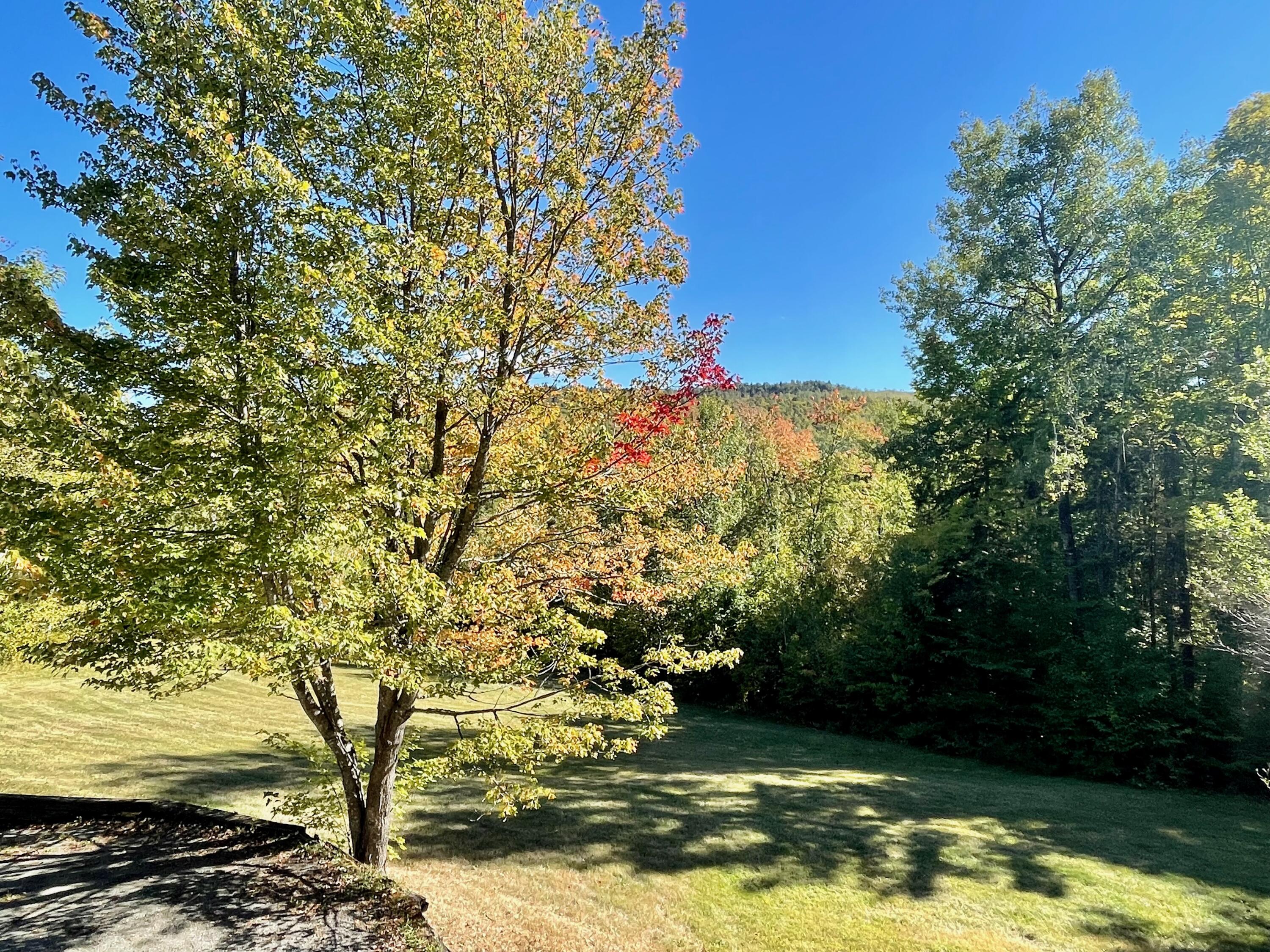 1 Tellis Road Freeman Twp ME 04947