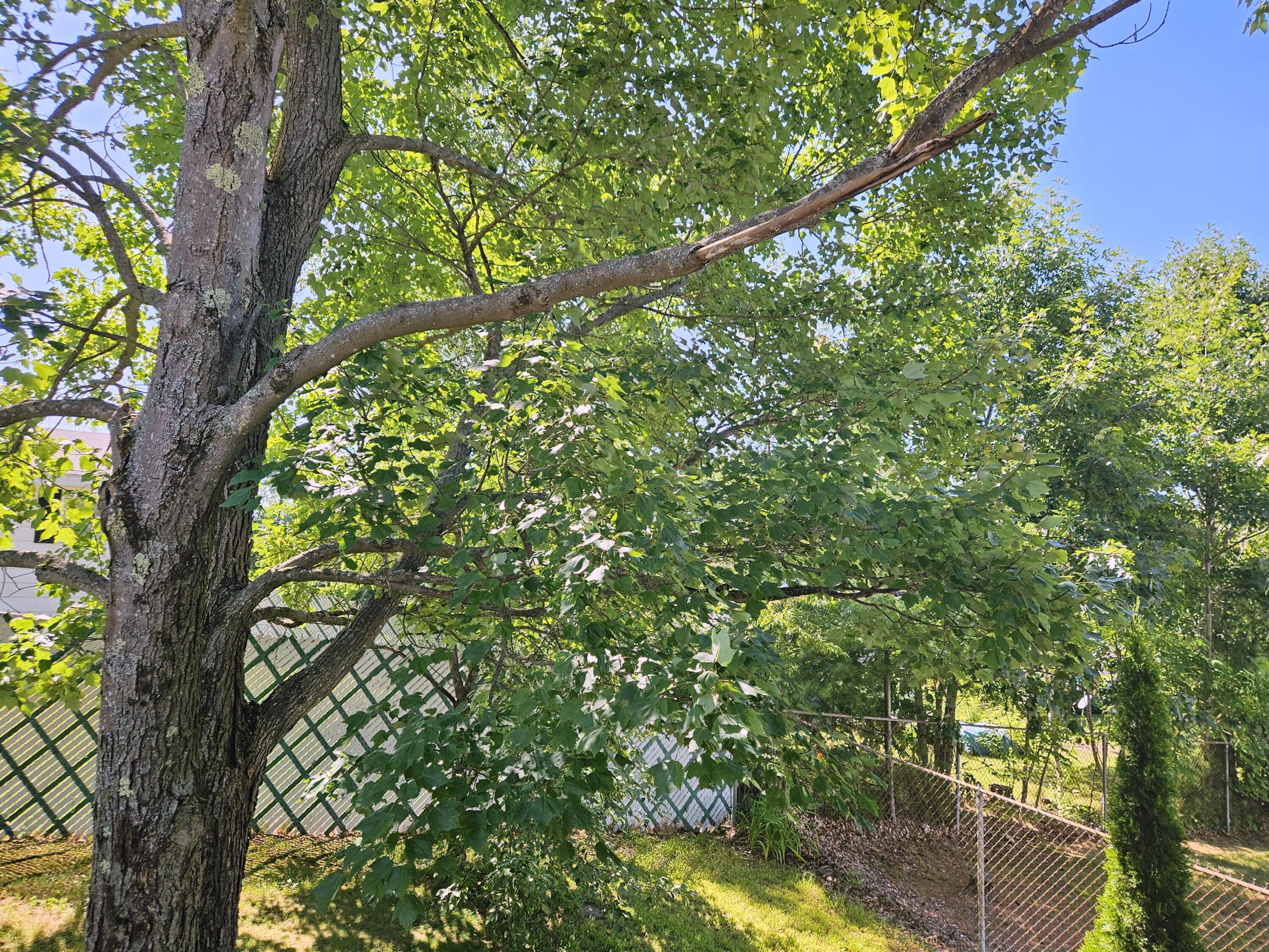 9 Meadow Lane Lewiston ME 04240