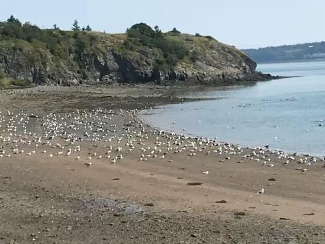 191 Water Street Eastport ME 04631