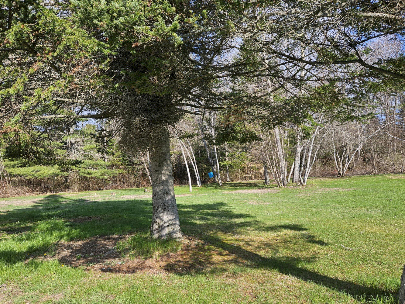 545 Hinckley Road Canaan ME 04924