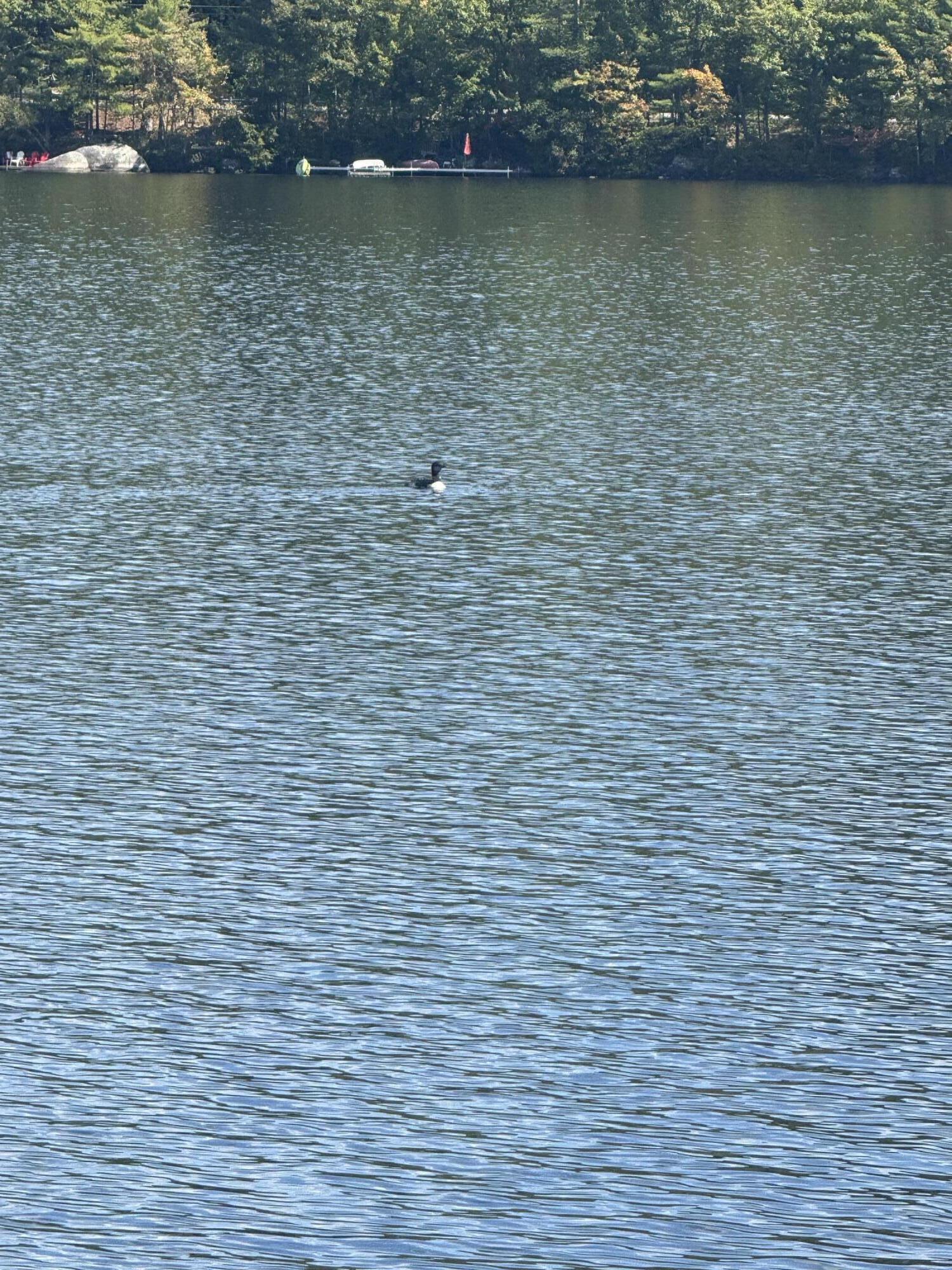 57 Oak Shore Road Harrison ME 04040