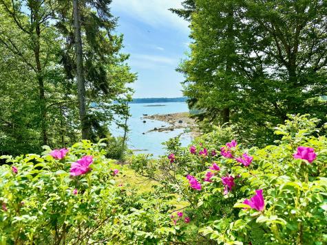 54 Harbor Hills Lane Addison ME 04606