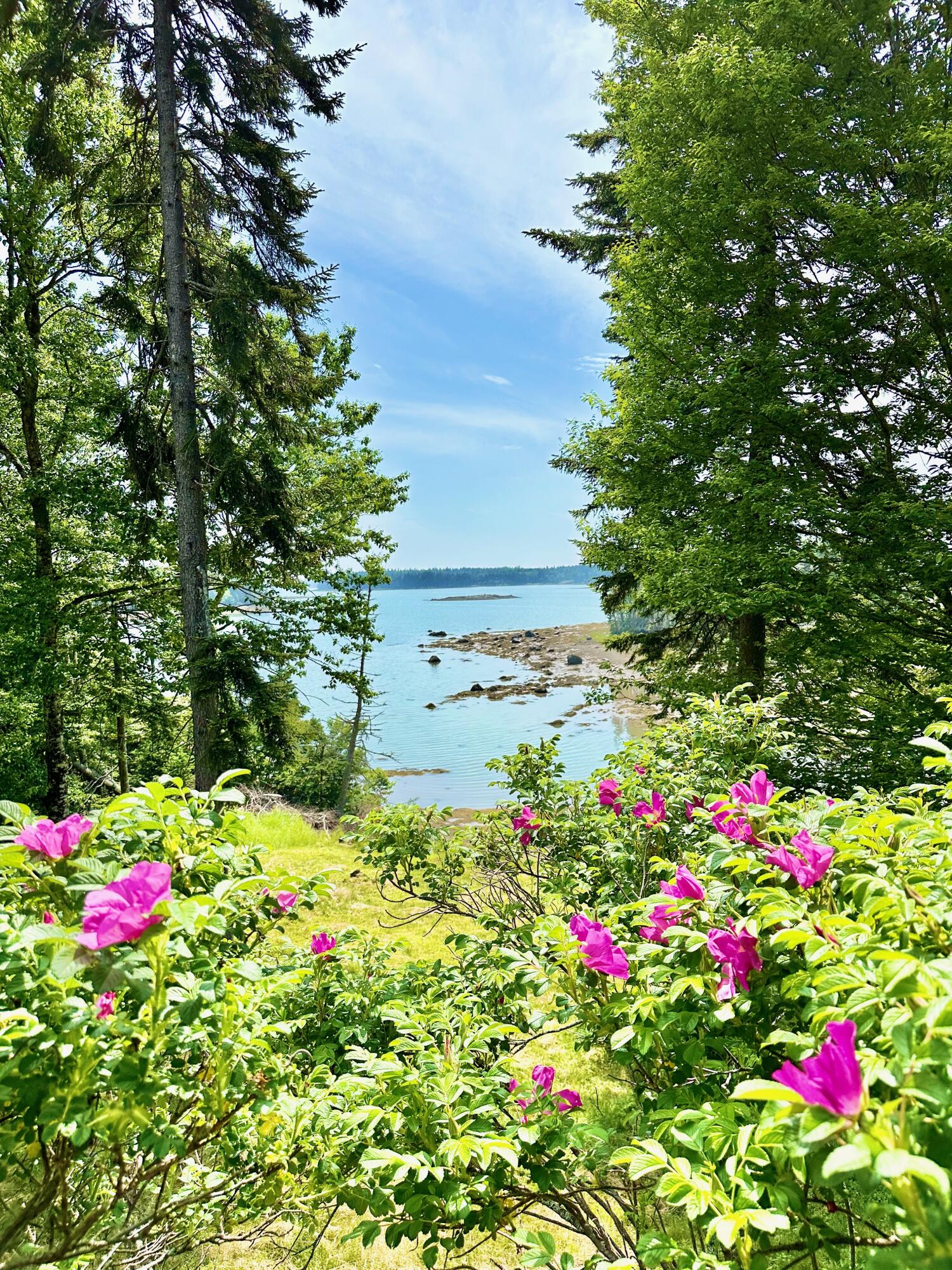 54 Harbor Hills Lane Addison ME 04606