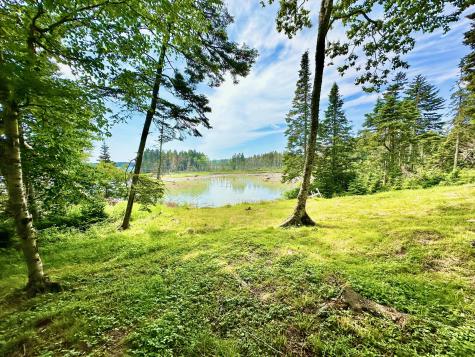 54 Harbor Hills Lane Addison ME 04606