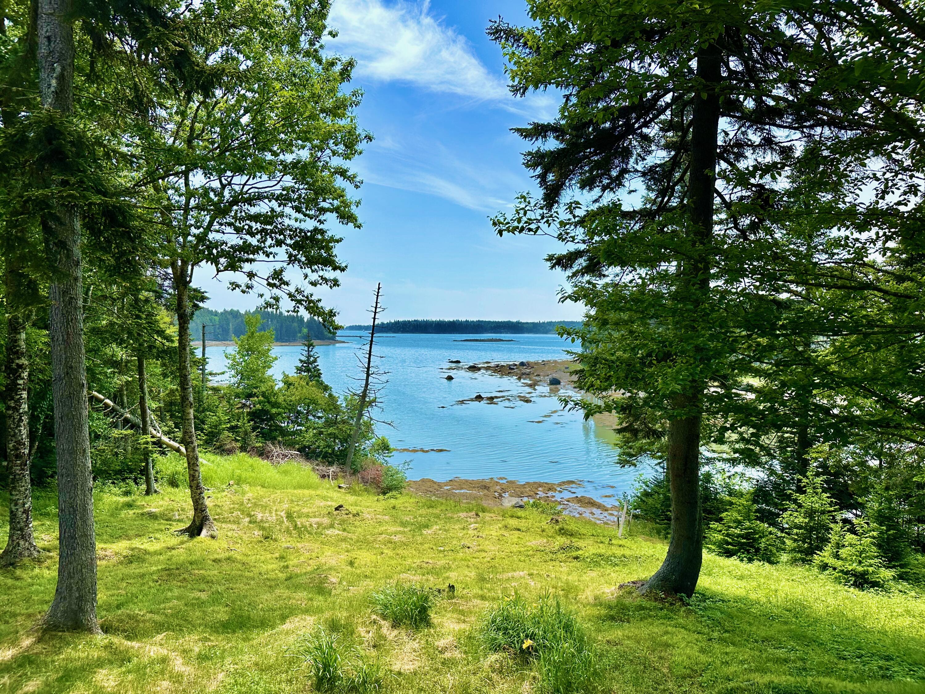 54 Harbor Hills Lane Addison ME 04606