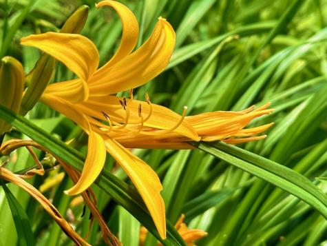 54 Harbor Hills Lane Addison ME 04606