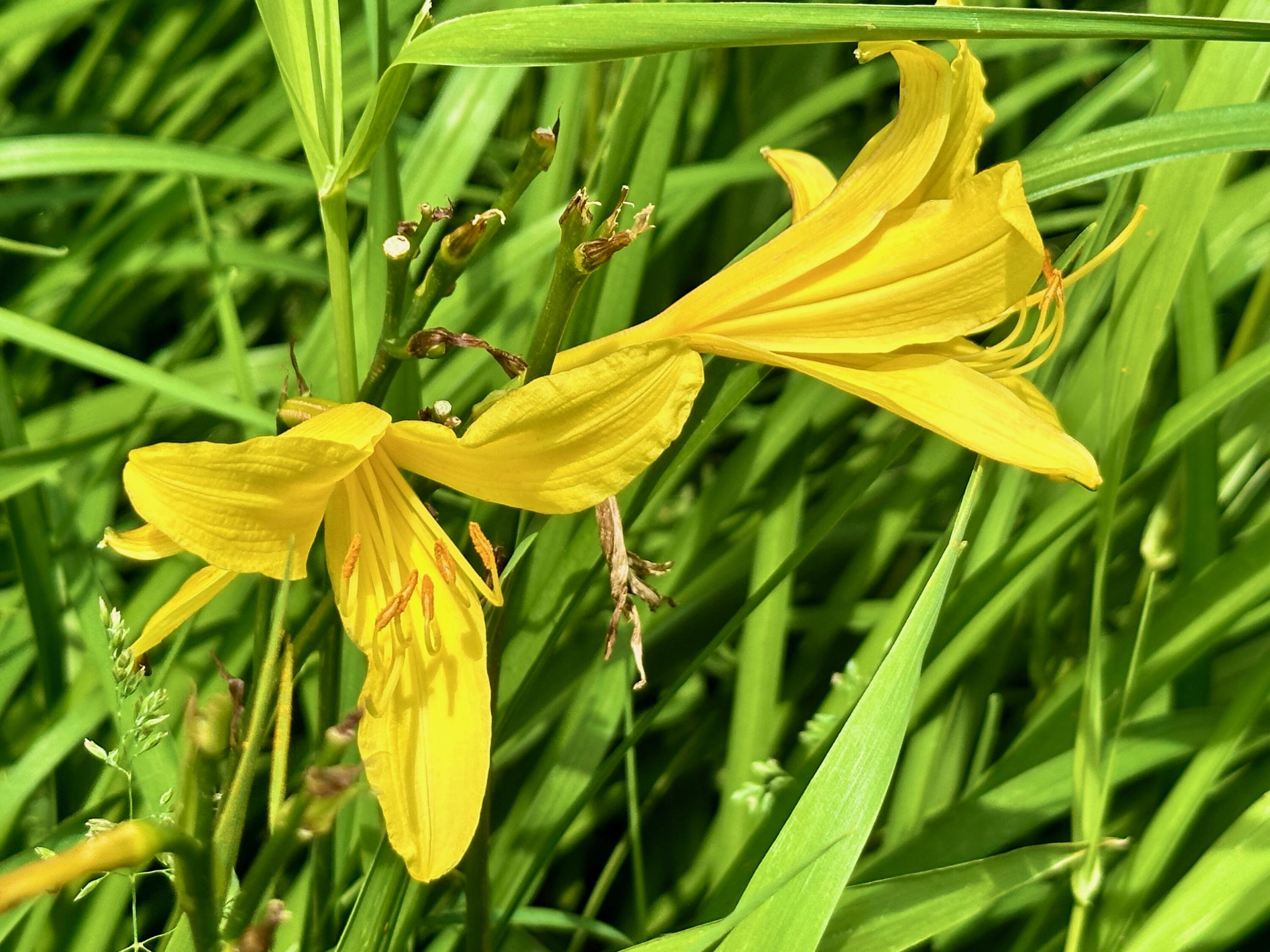 54 Harbor Hills Lane Addison ME 04606