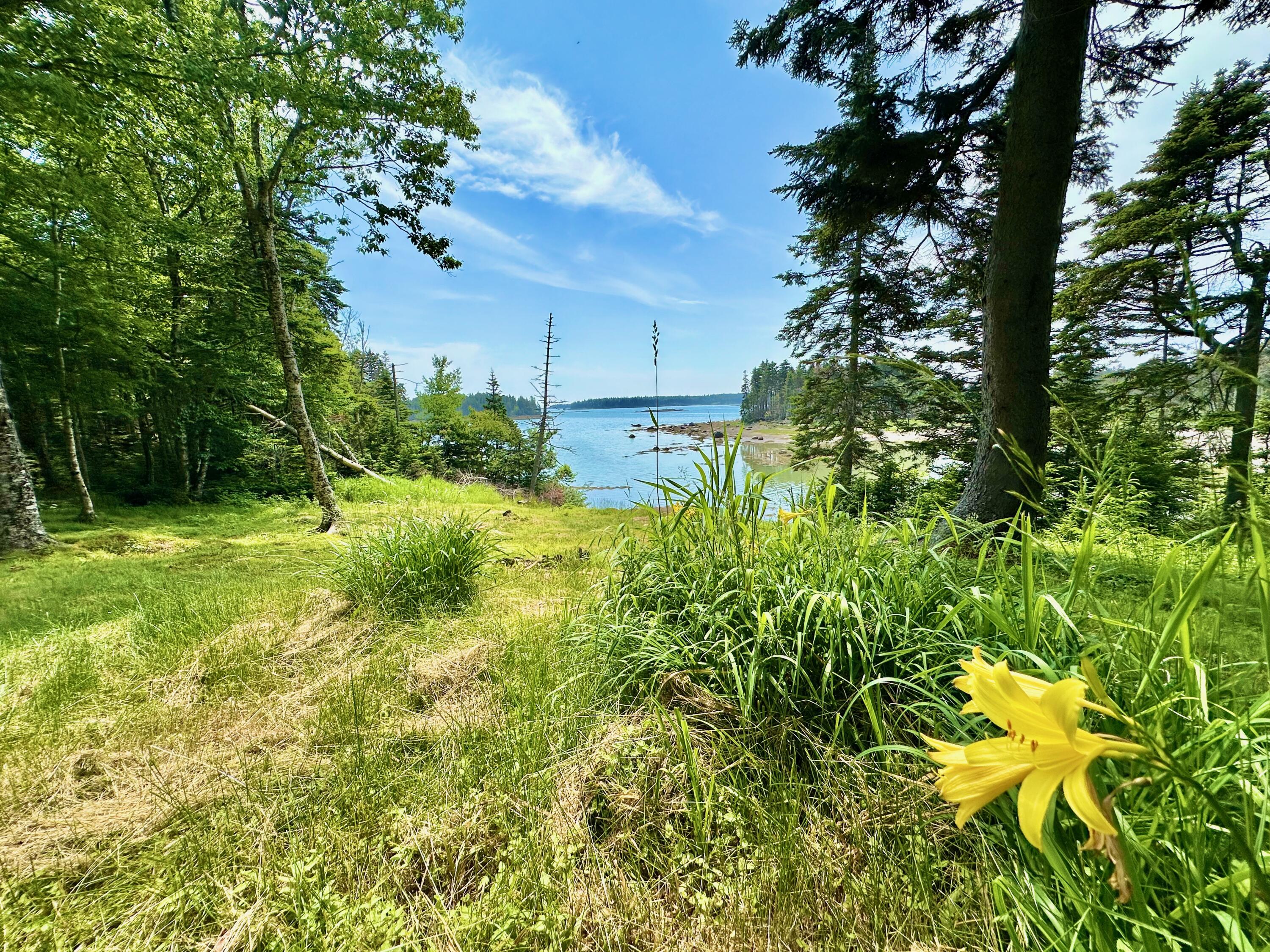 54 Harbor Hills Lane Addison ME 04606