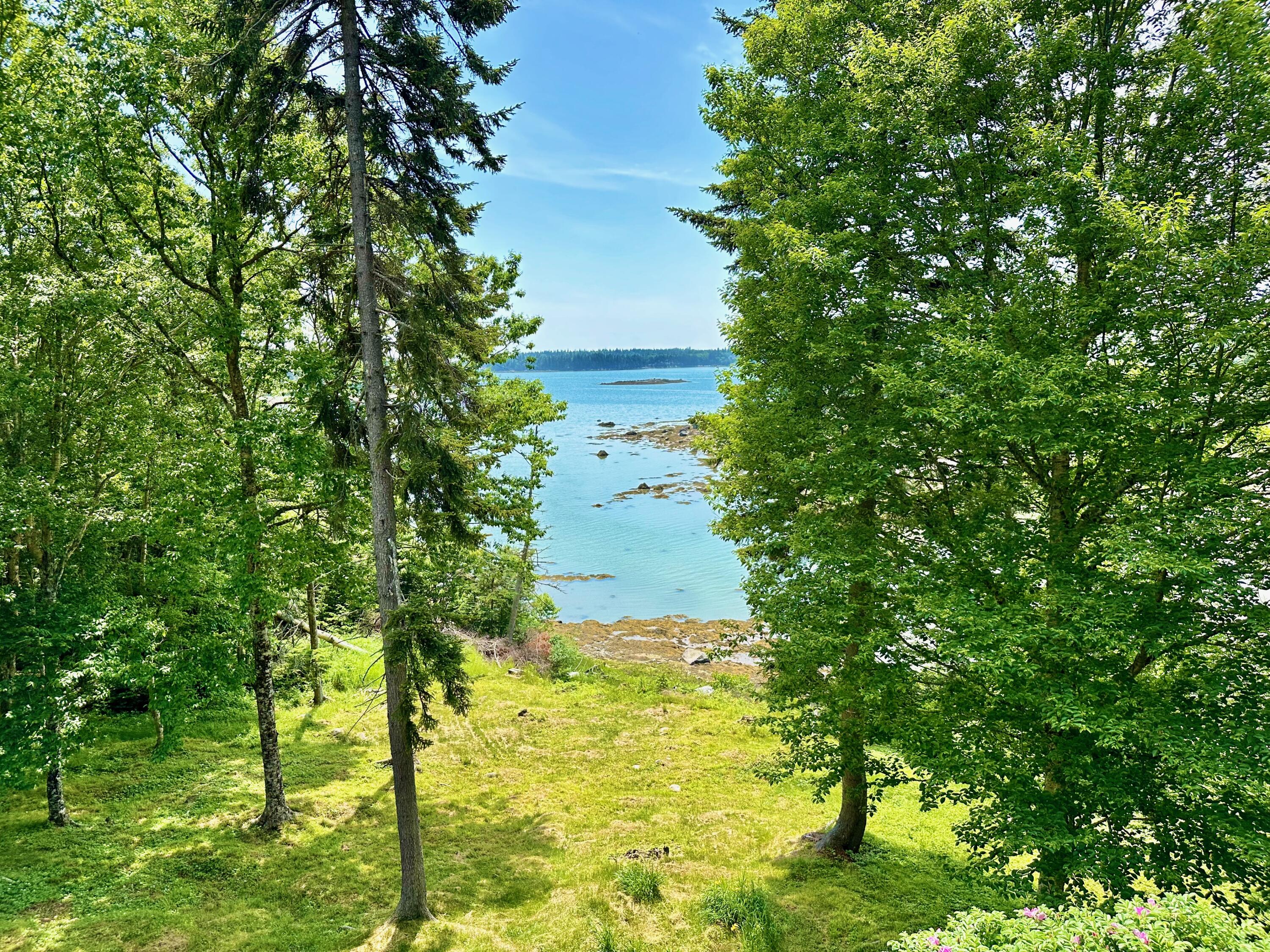 54 Harbor Hills Lane Addison ME 04606