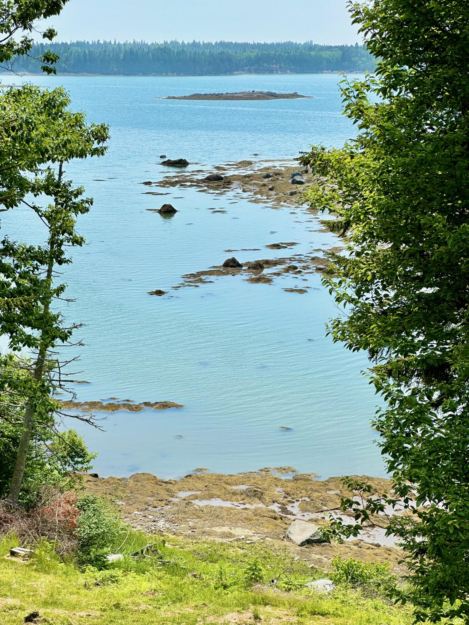 54 Harbor Hills Lane Addison ME 04606