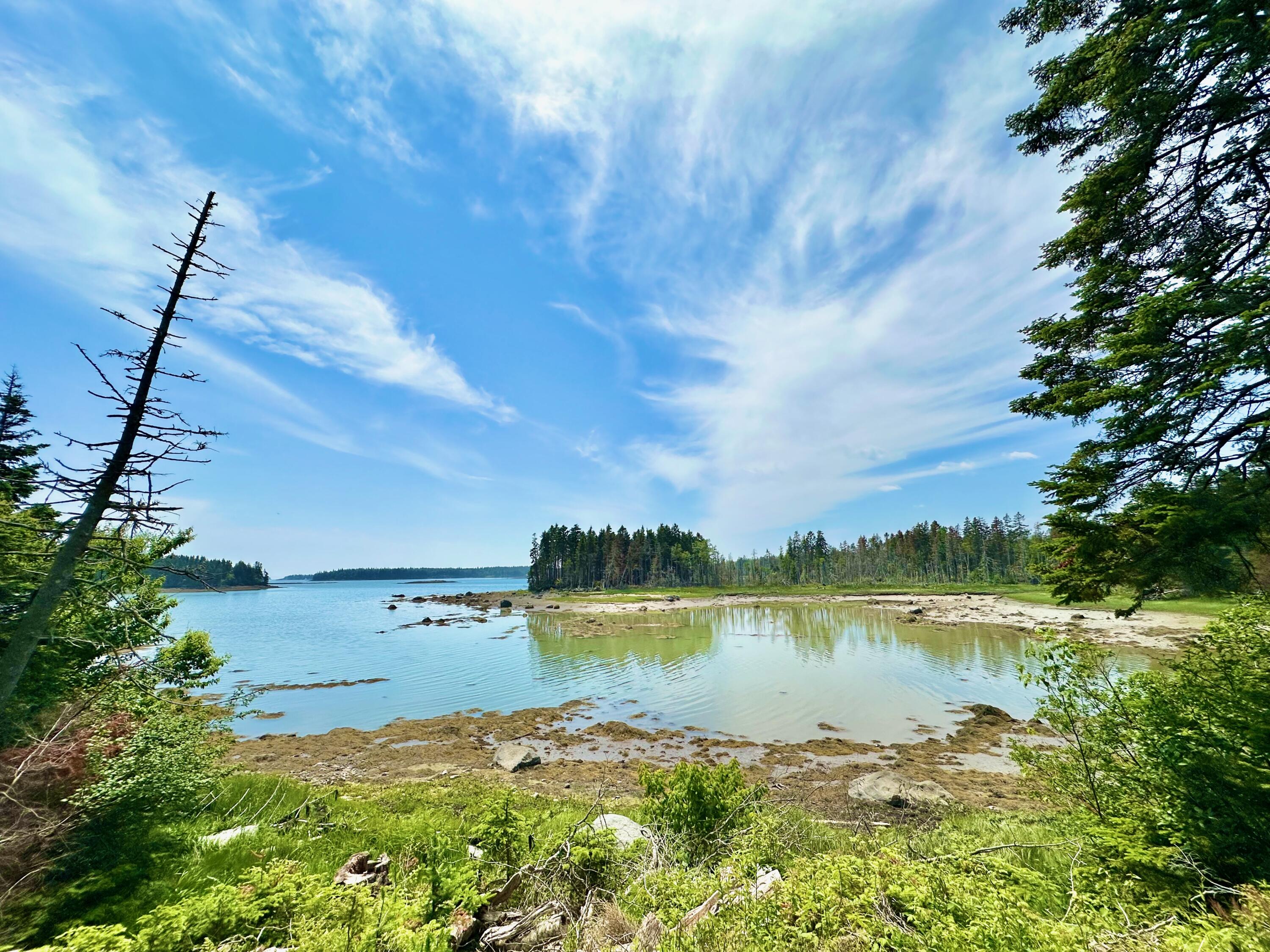 54 Harbor Hills Lane Addison ME 04606