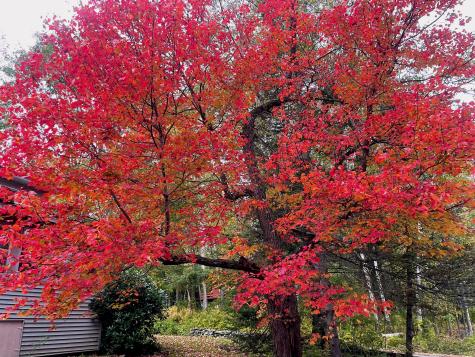 30 Birch Street Winthrop ME 04364