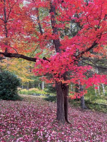 30 Birch Street Winthrop ME 04364