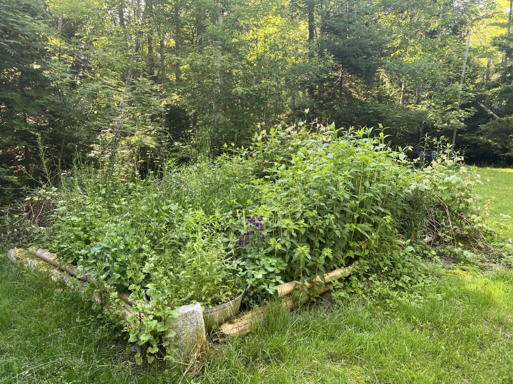 32 Tinker Brook Lane Tremont ME 04674