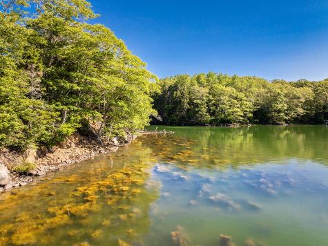 794 Pleasant Point Road Cushing ME 04563