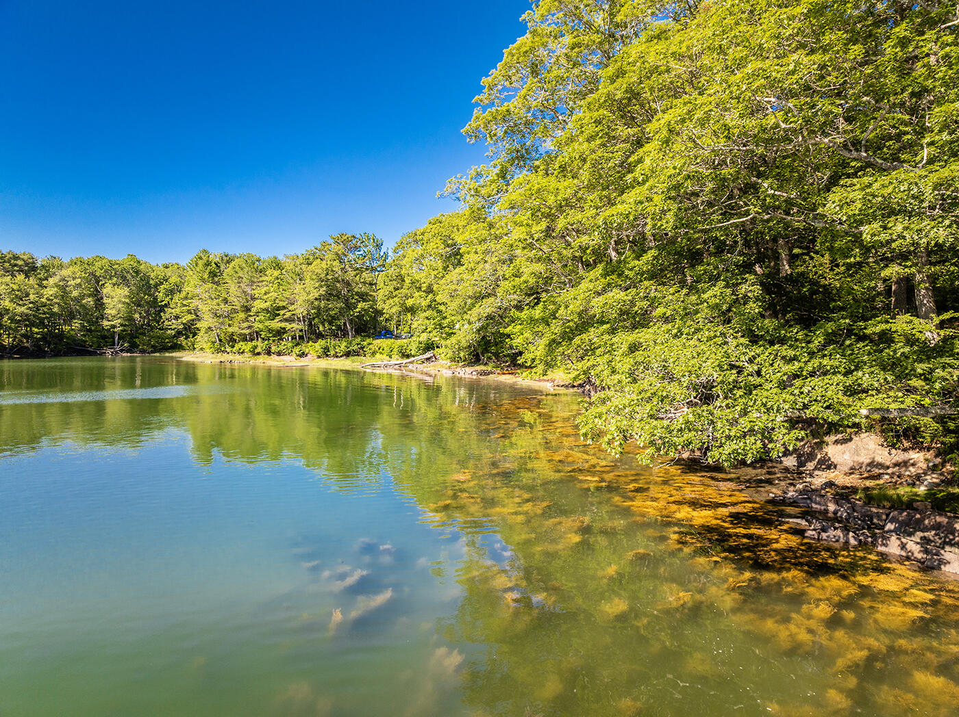 794 Pleasant Point Road Cushing ME 04563