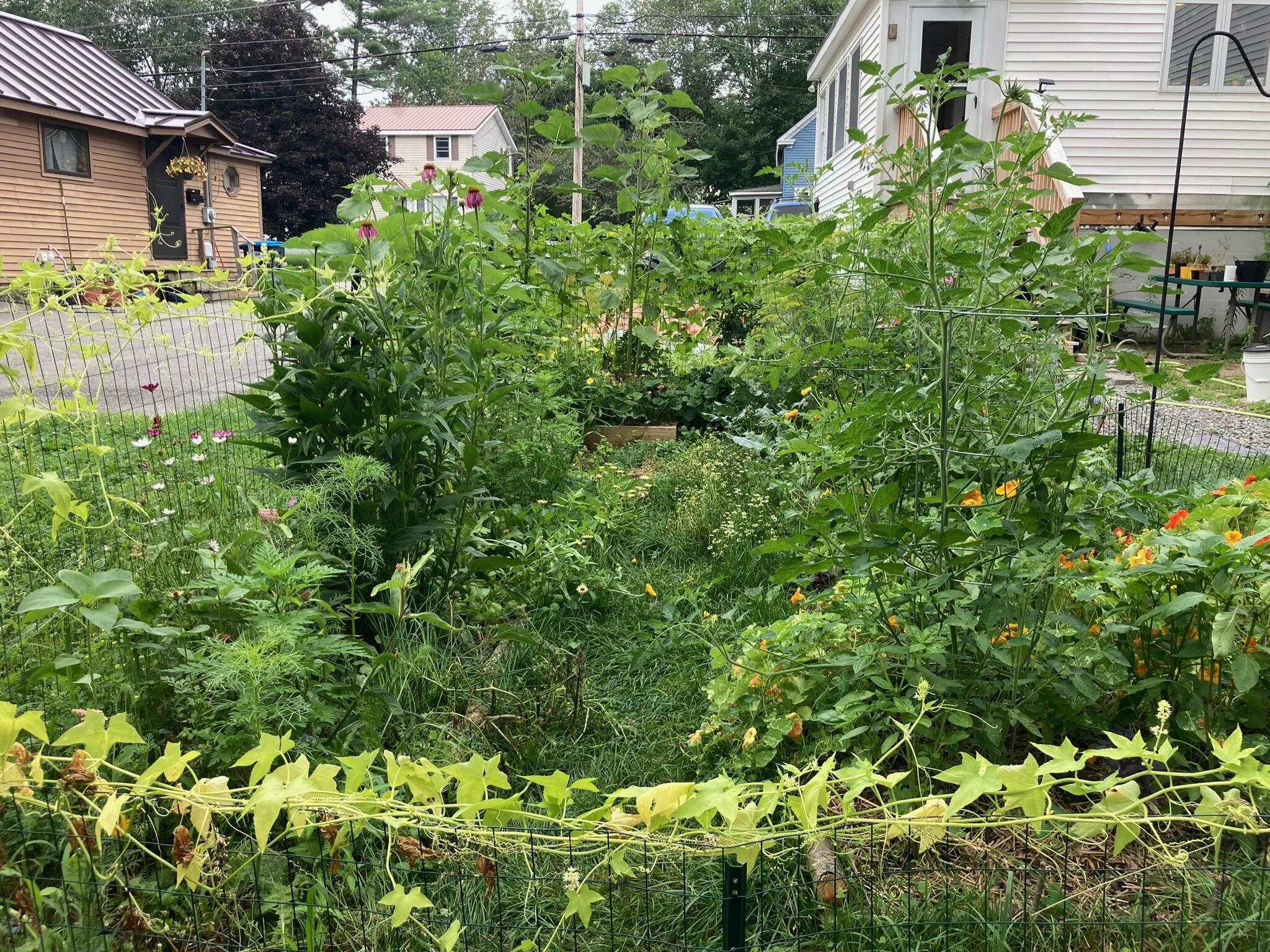 164 Lincoln Street Old Town ME 04468