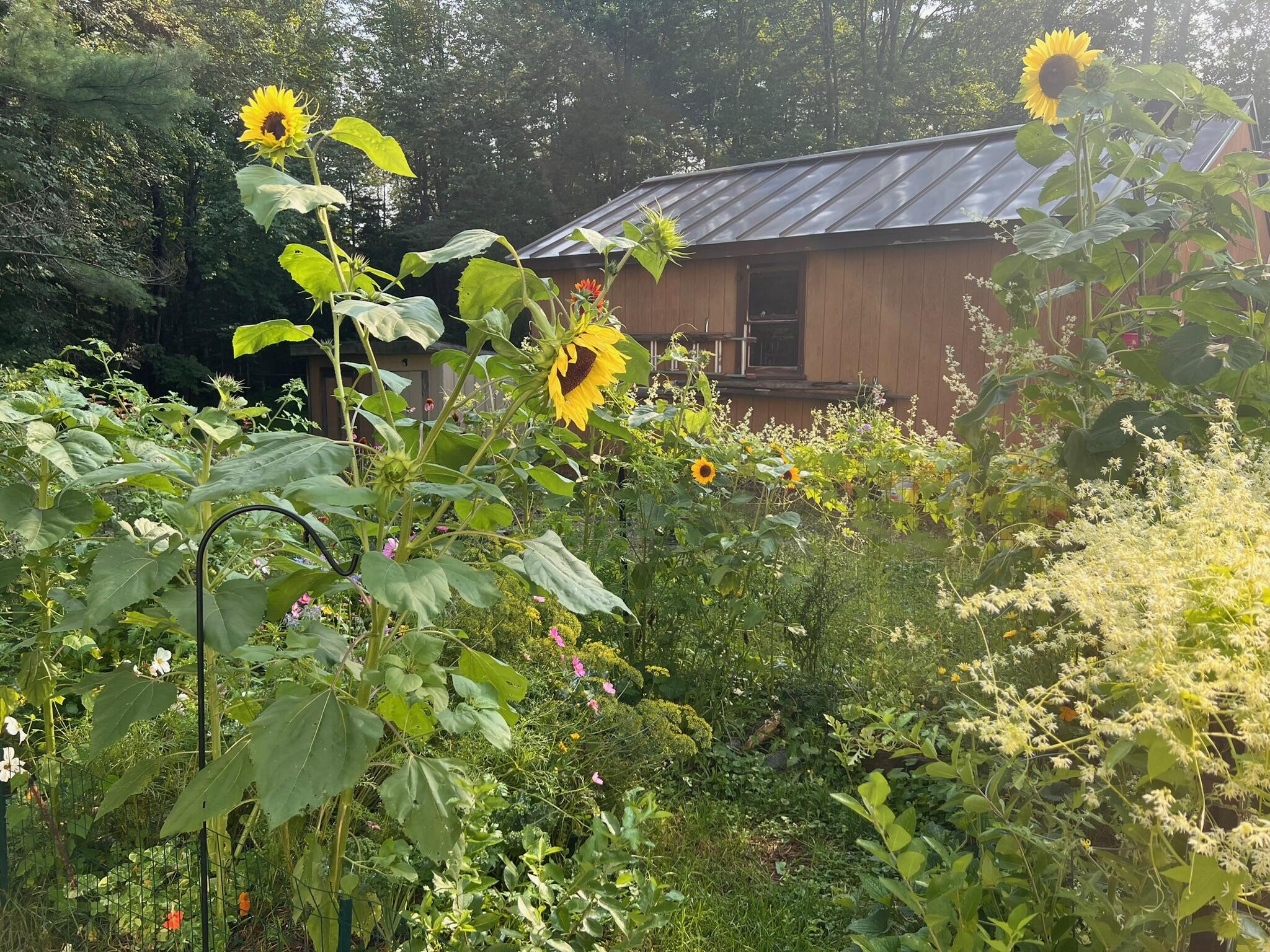164 Lincoln Street Old Town ME 04468