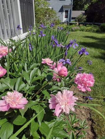 23 Chapel Street Ellsworth ME 04605